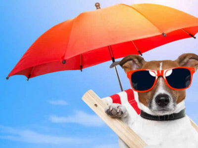 Il colpo di calore nel cane