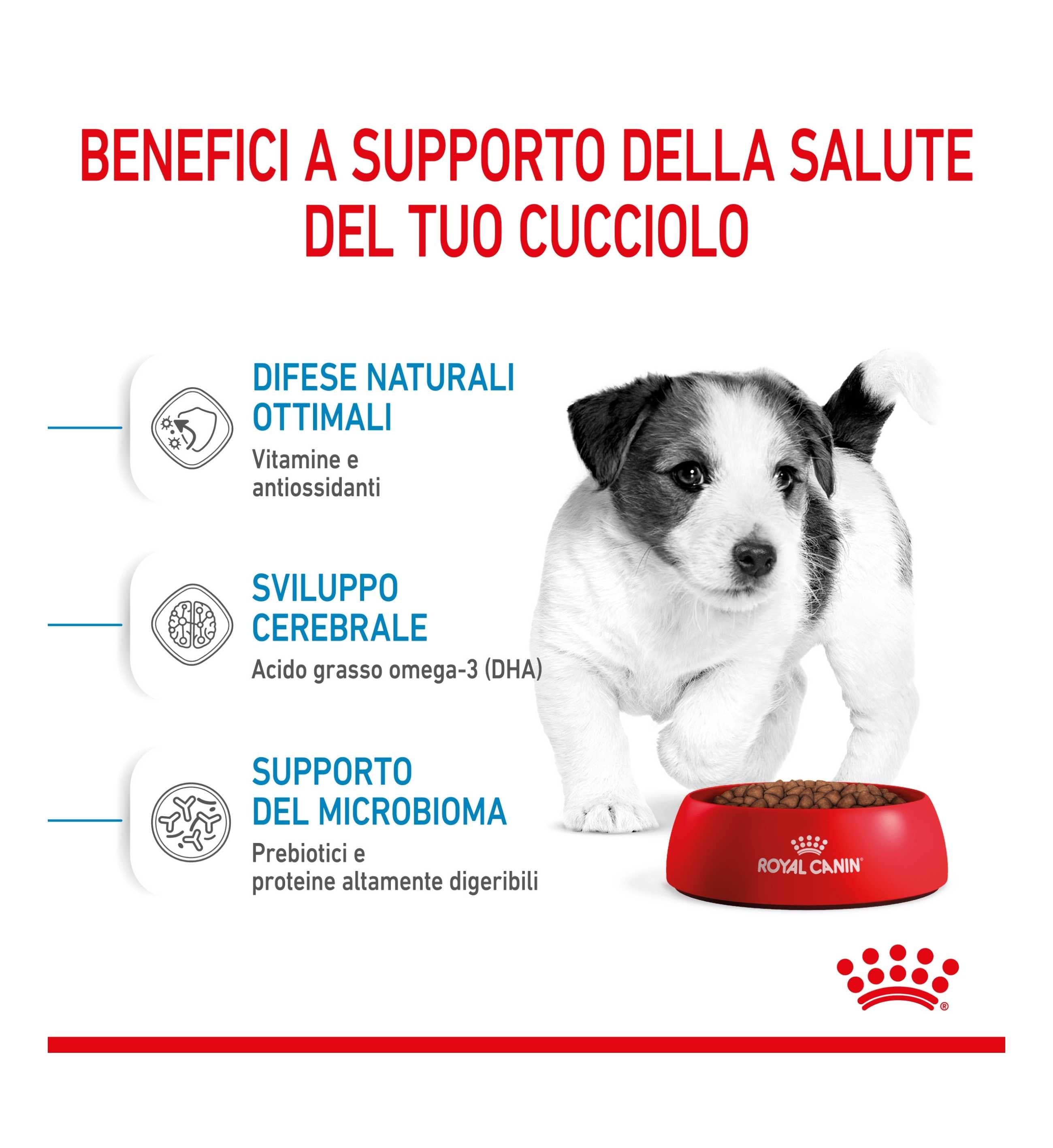 ROYAL CANIN CANE PUPPY MINI