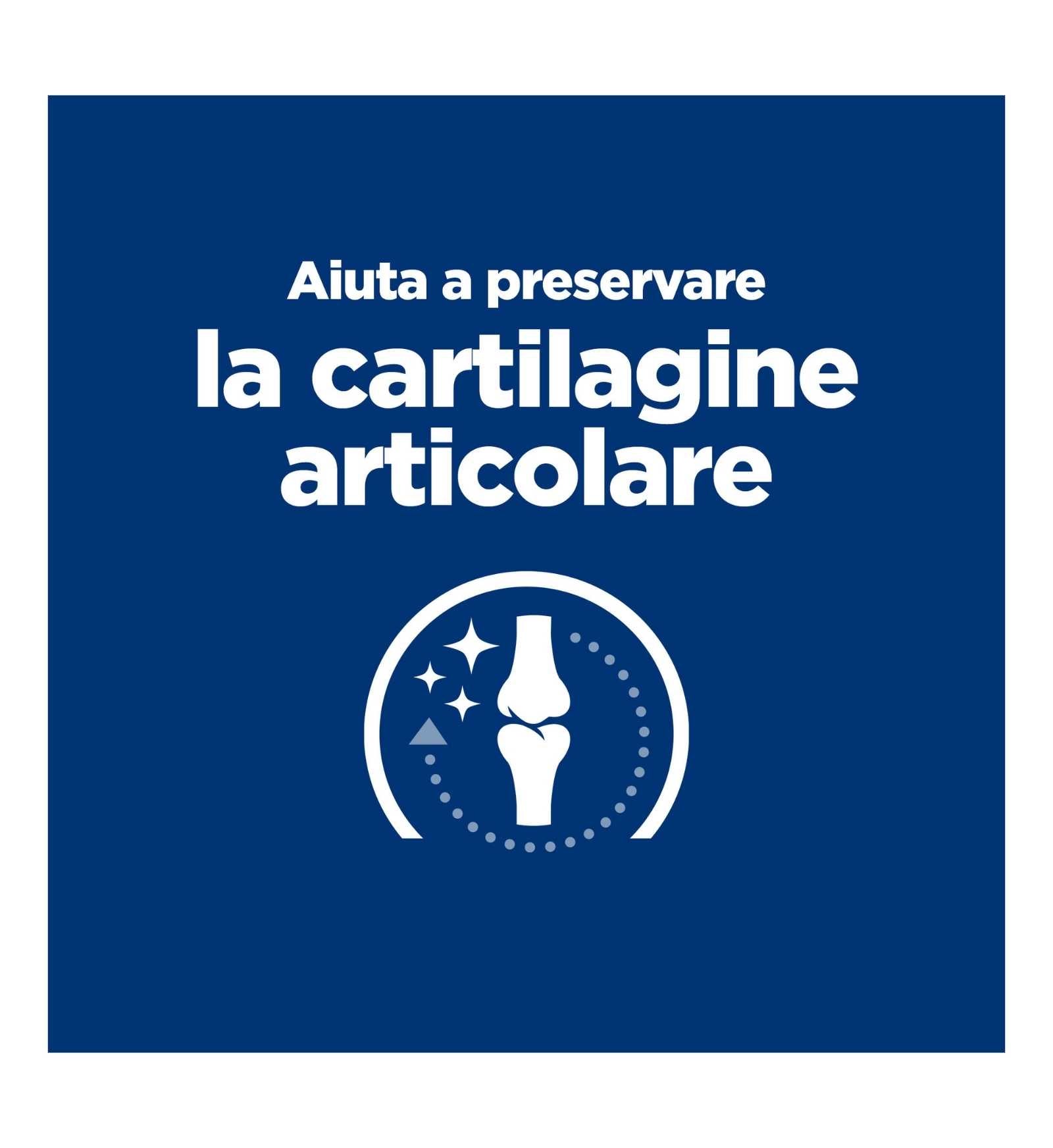 HILL'S PRESCRIPTION DIET CANE J/D MOBILITY POLLO DA 370 G IN LATTINA