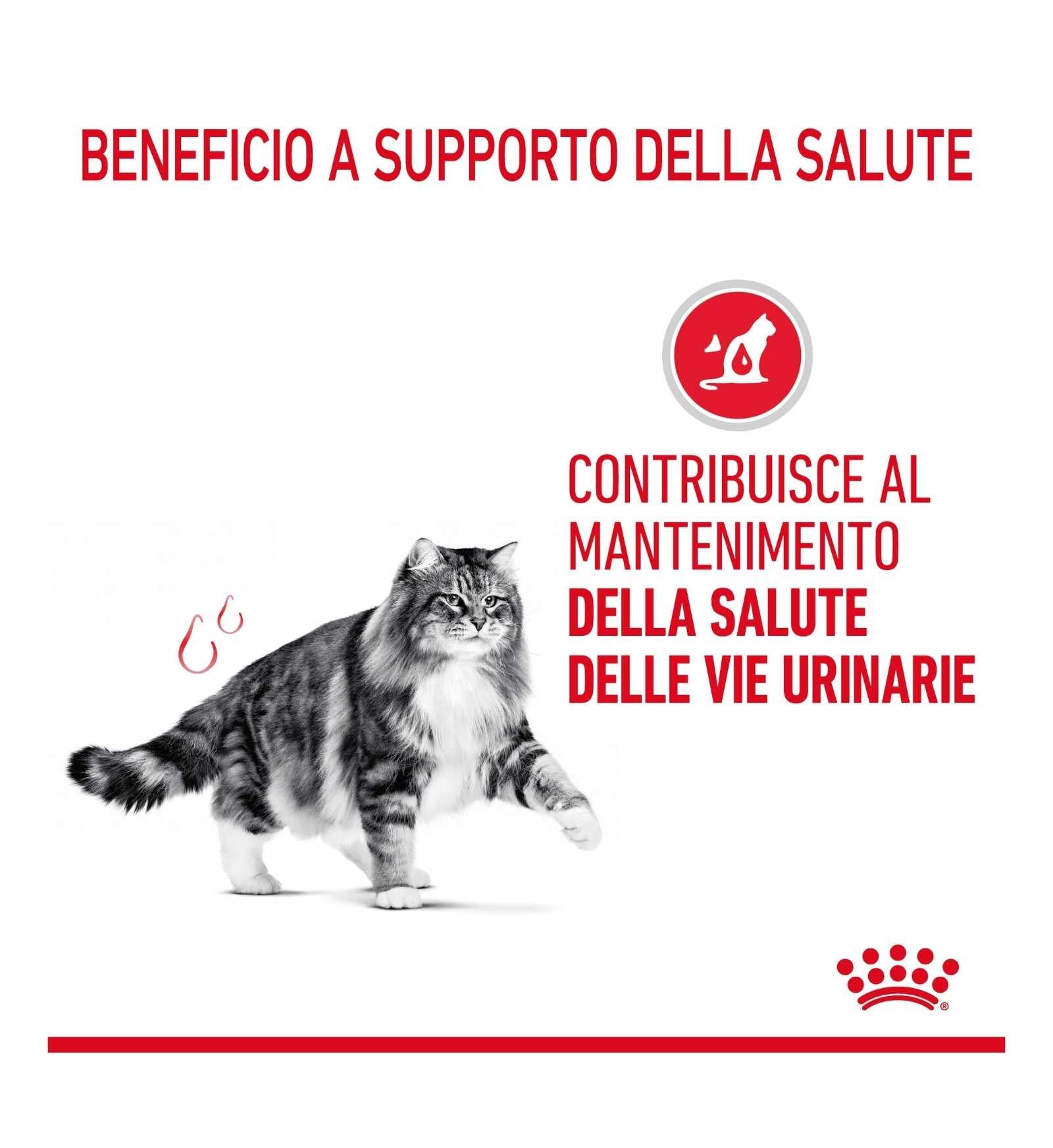 ROYAL CANIN GATTO URINARY CARE GRAVY DA 85 GR IN BUSTA