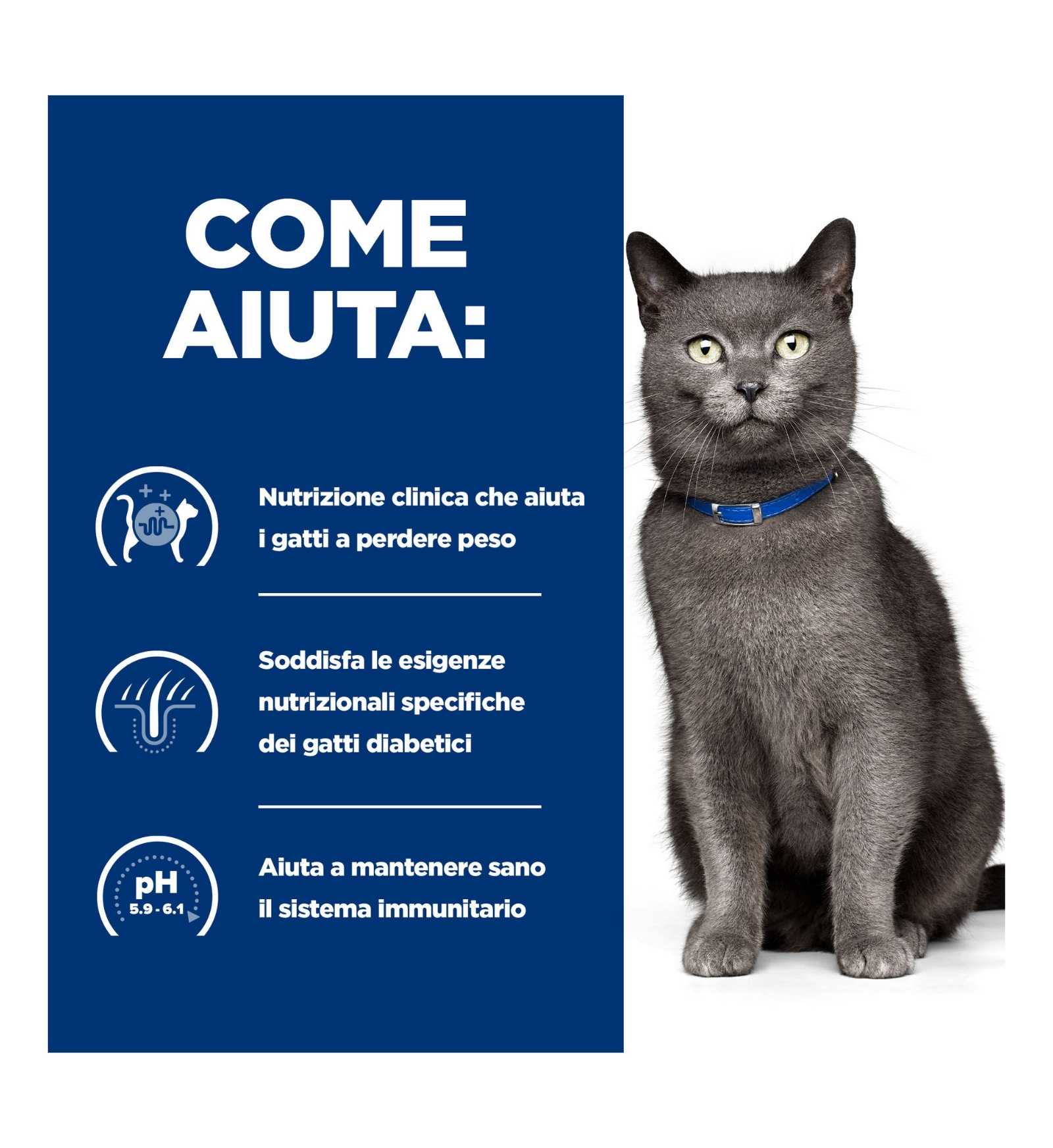HILL'S PRESCRIPTION DIET GATTO D/D ANATRA E PISELLI DA 1,5 KG