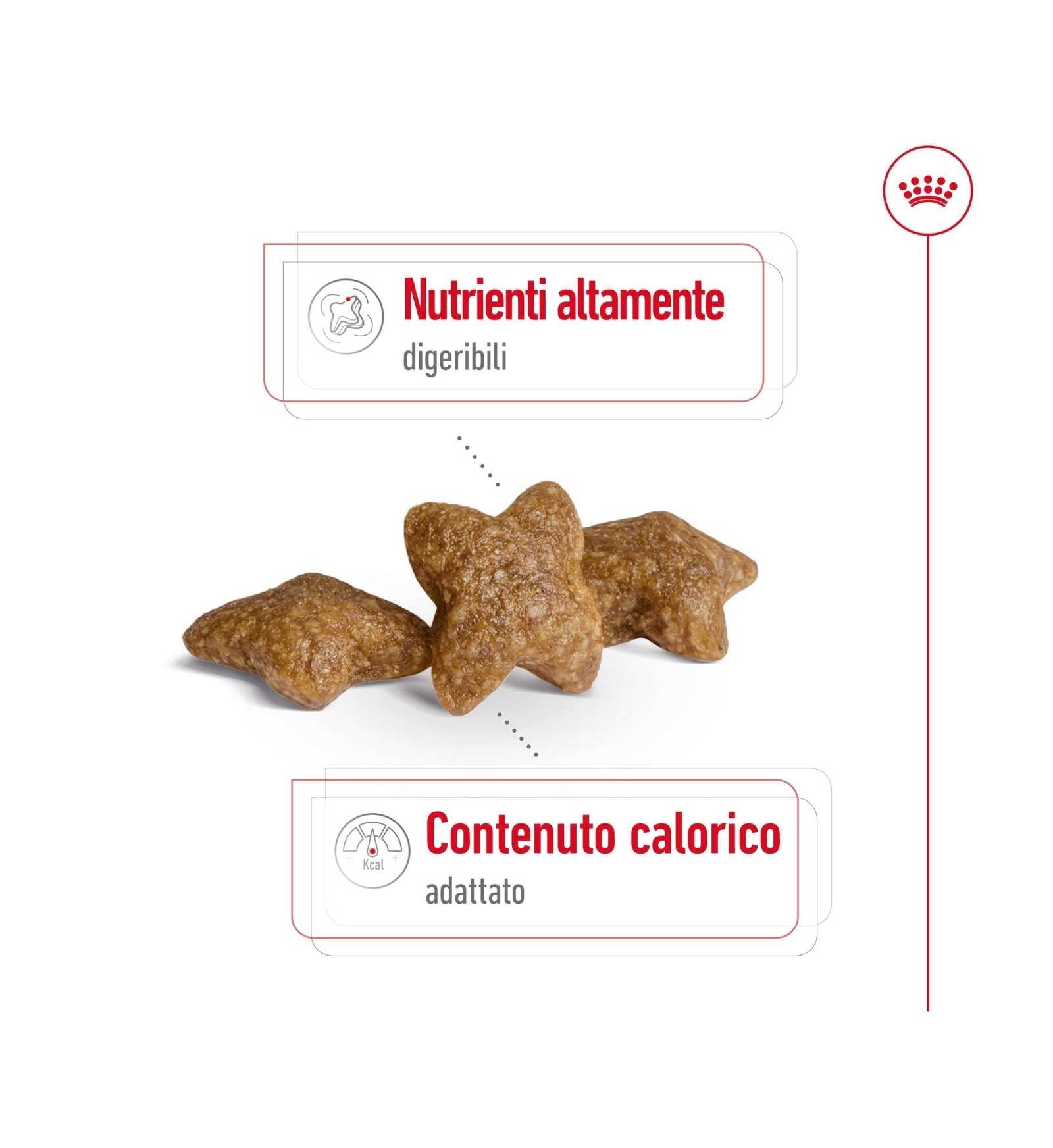 ROYAL CANIN CANE ADULT MINI
