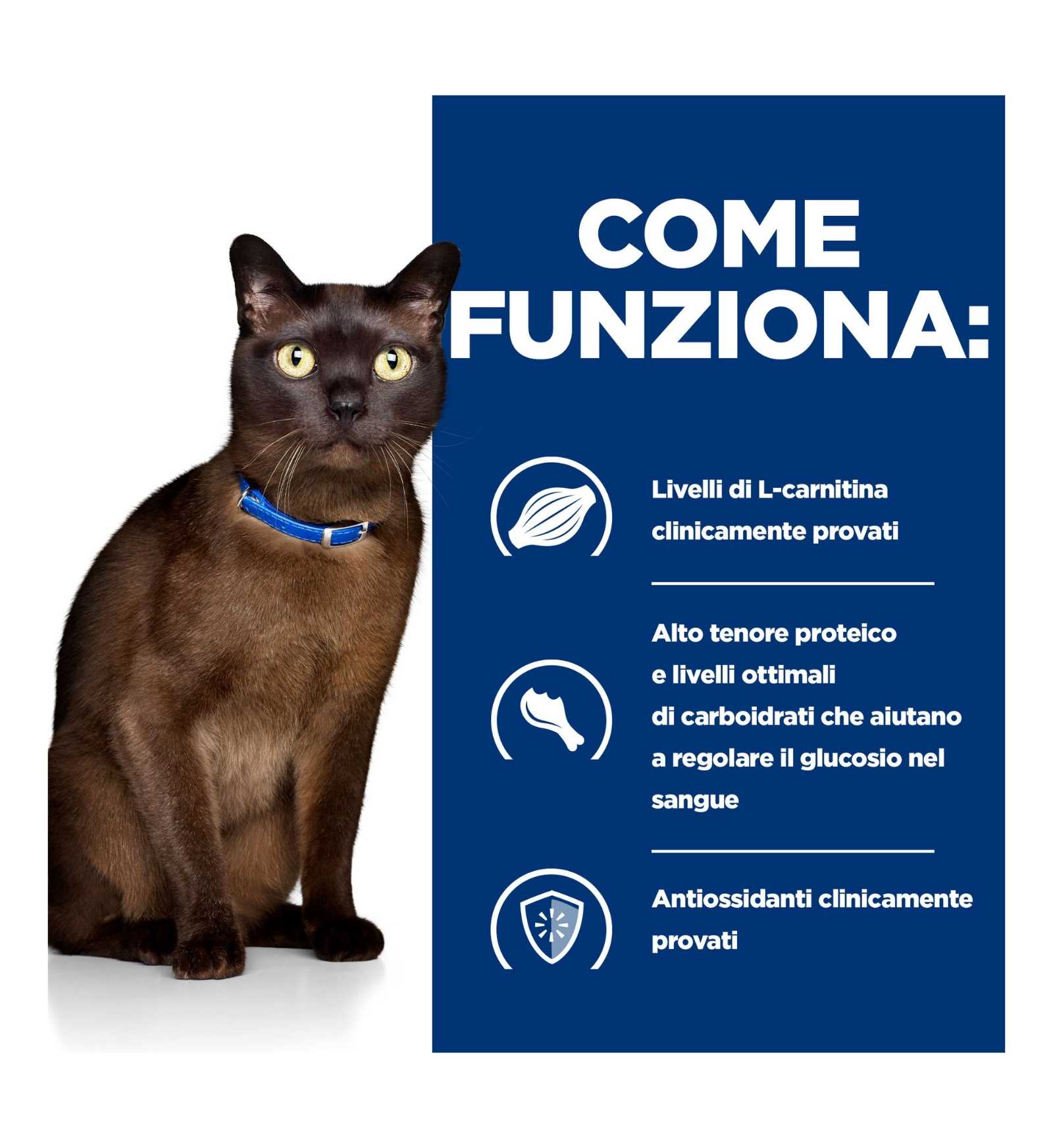 HILL'S PRESCRIPTION DIET GATTO M/D DA 85 GR IN BUSTA