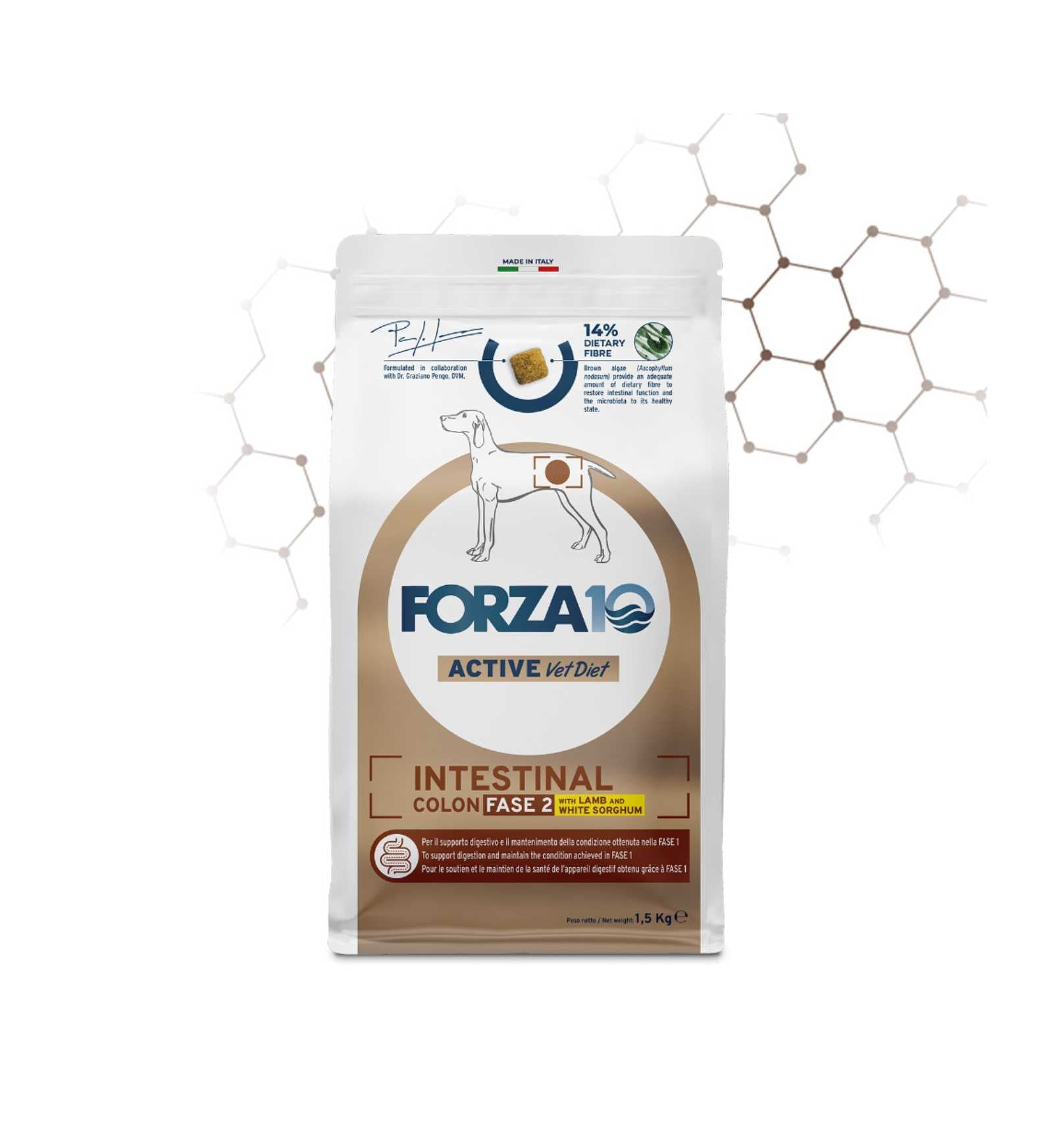FORZA10 CANE ACTIVE INTESTINAL COLON ADULT FASE 2 AGNELLO E SORGO DA 1,5 KG