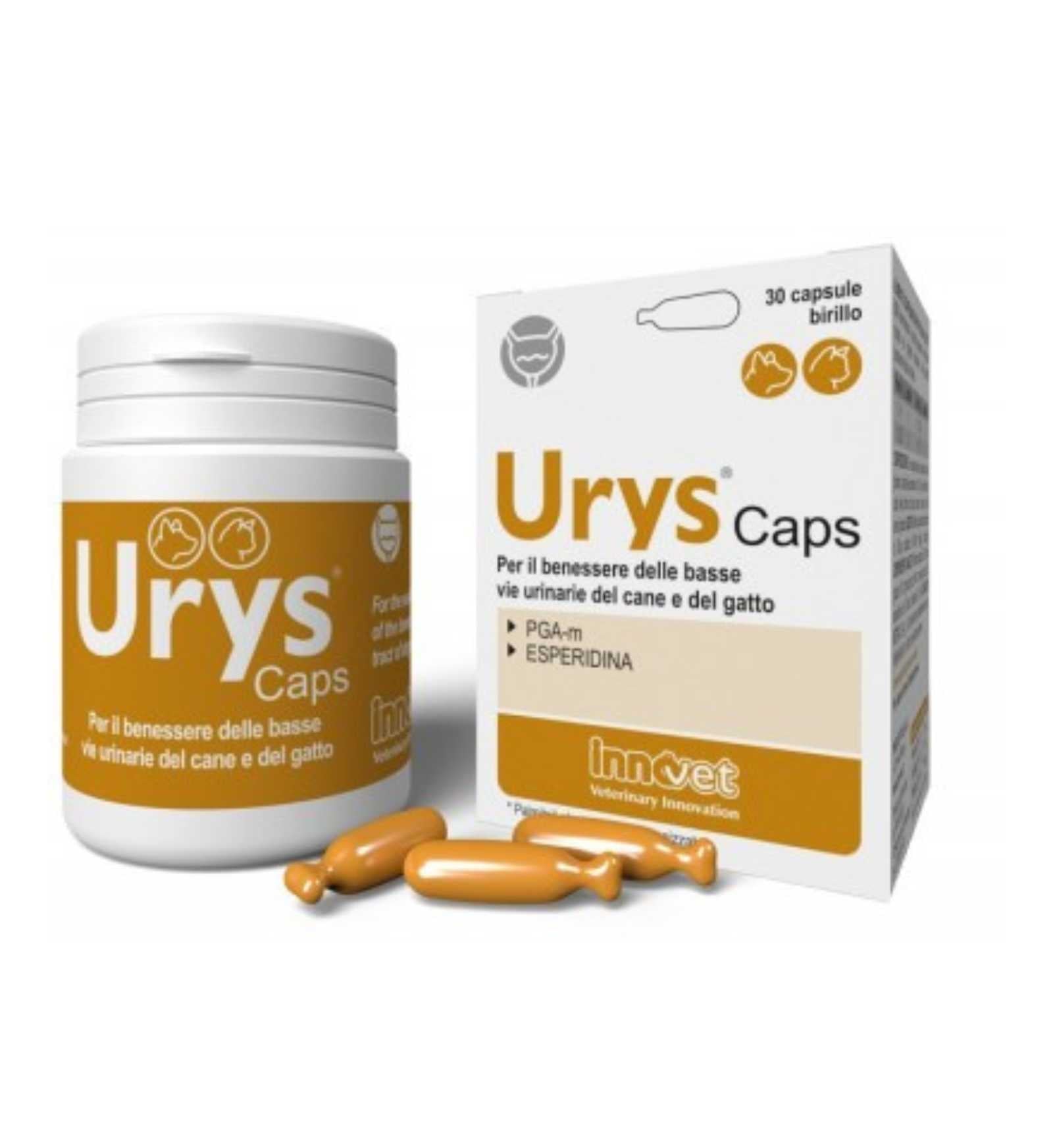 INNOVET CANE E GATTO URYS CAPS DA 30 COMPRESSE