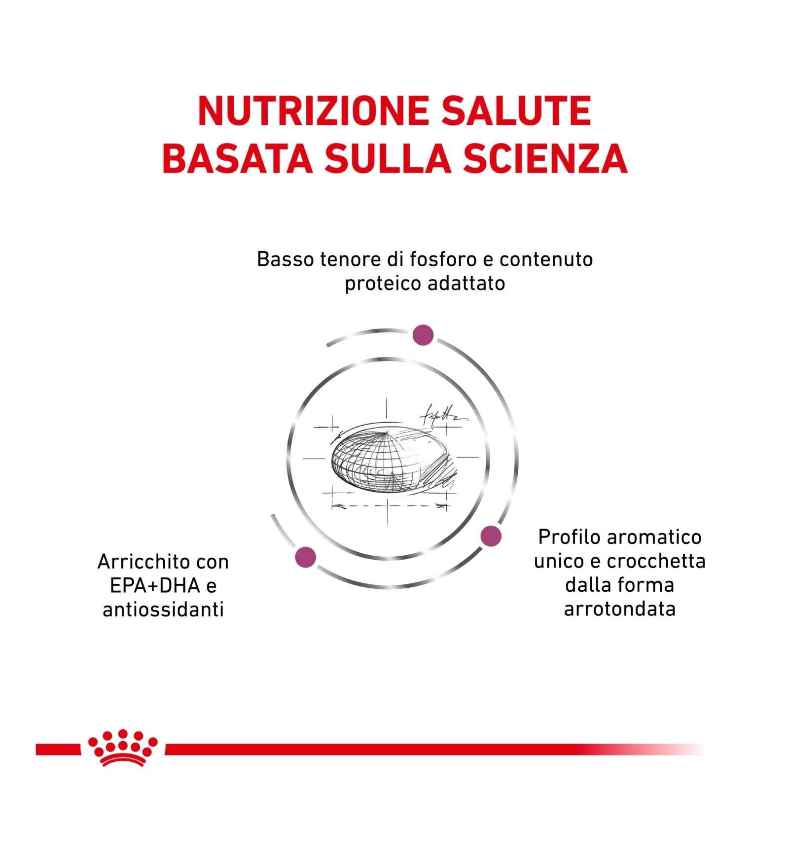 ROYAL CANIN GATTO DIET RENAL