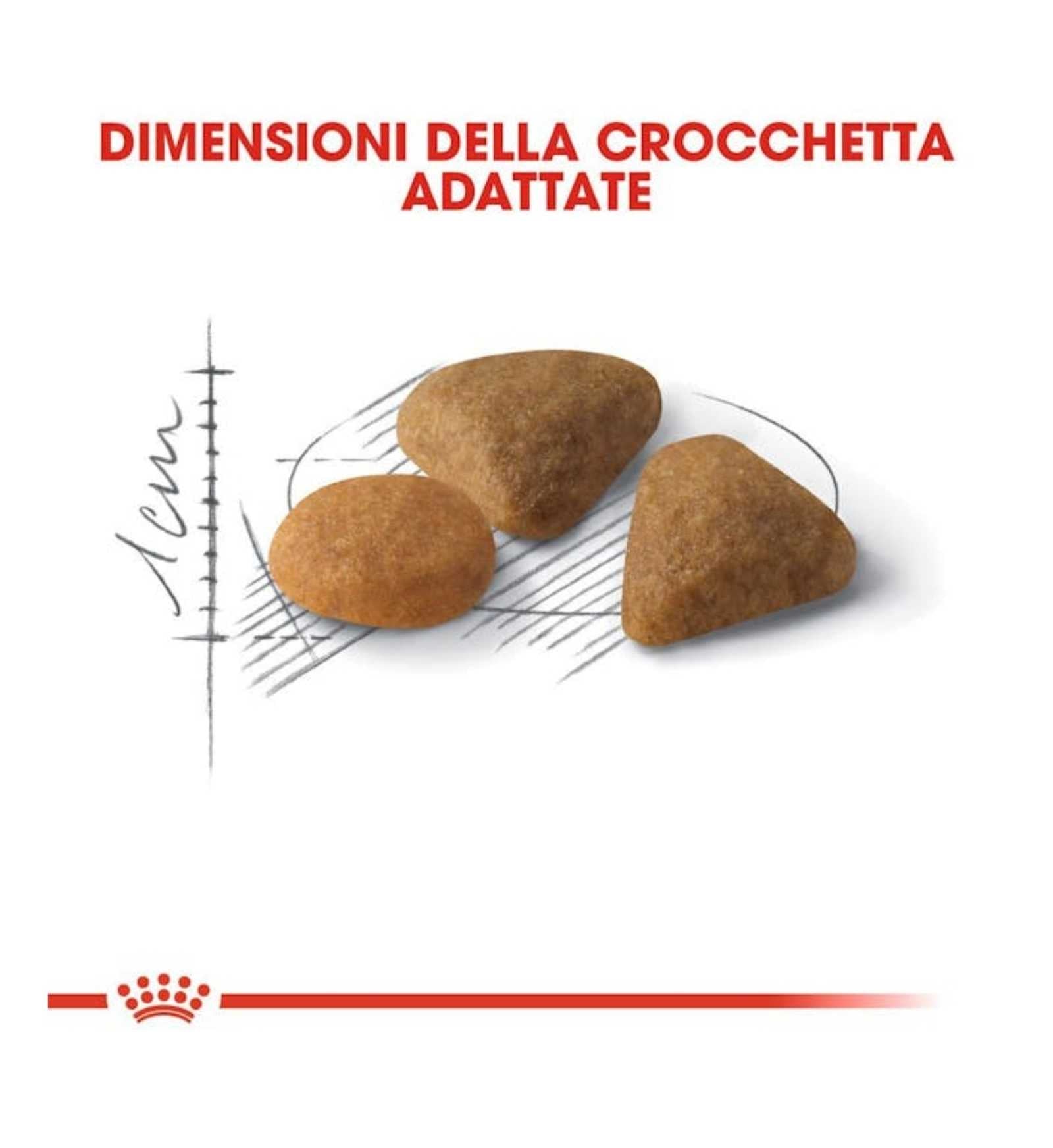 INNOVET CANE E GATTO ALEVICA COMPRESSE MASTICABILI