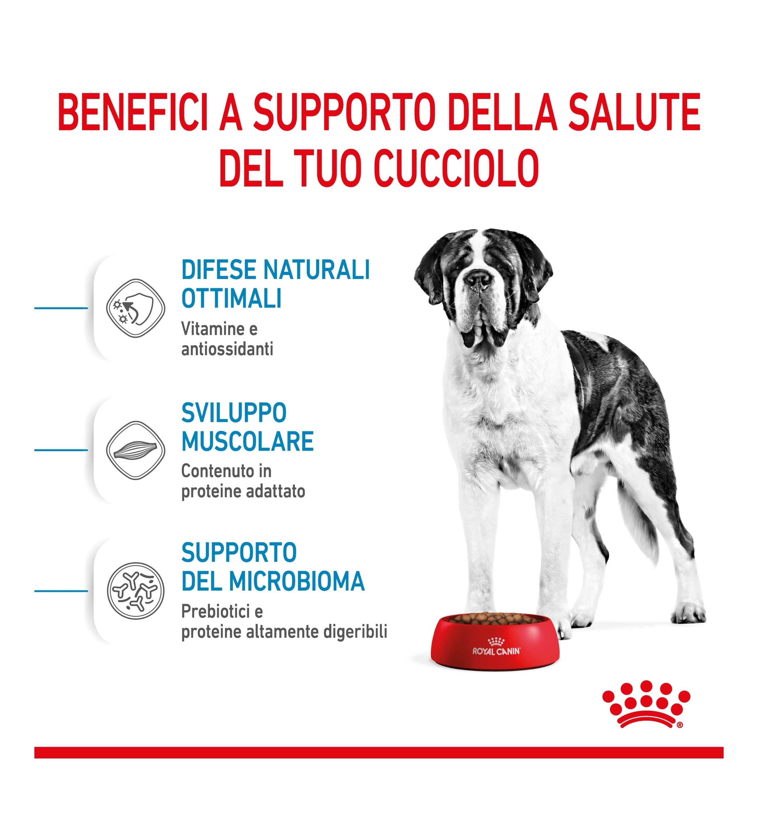 ROYAL CANIN CANE JUNIOR GIANT DA 15 KG