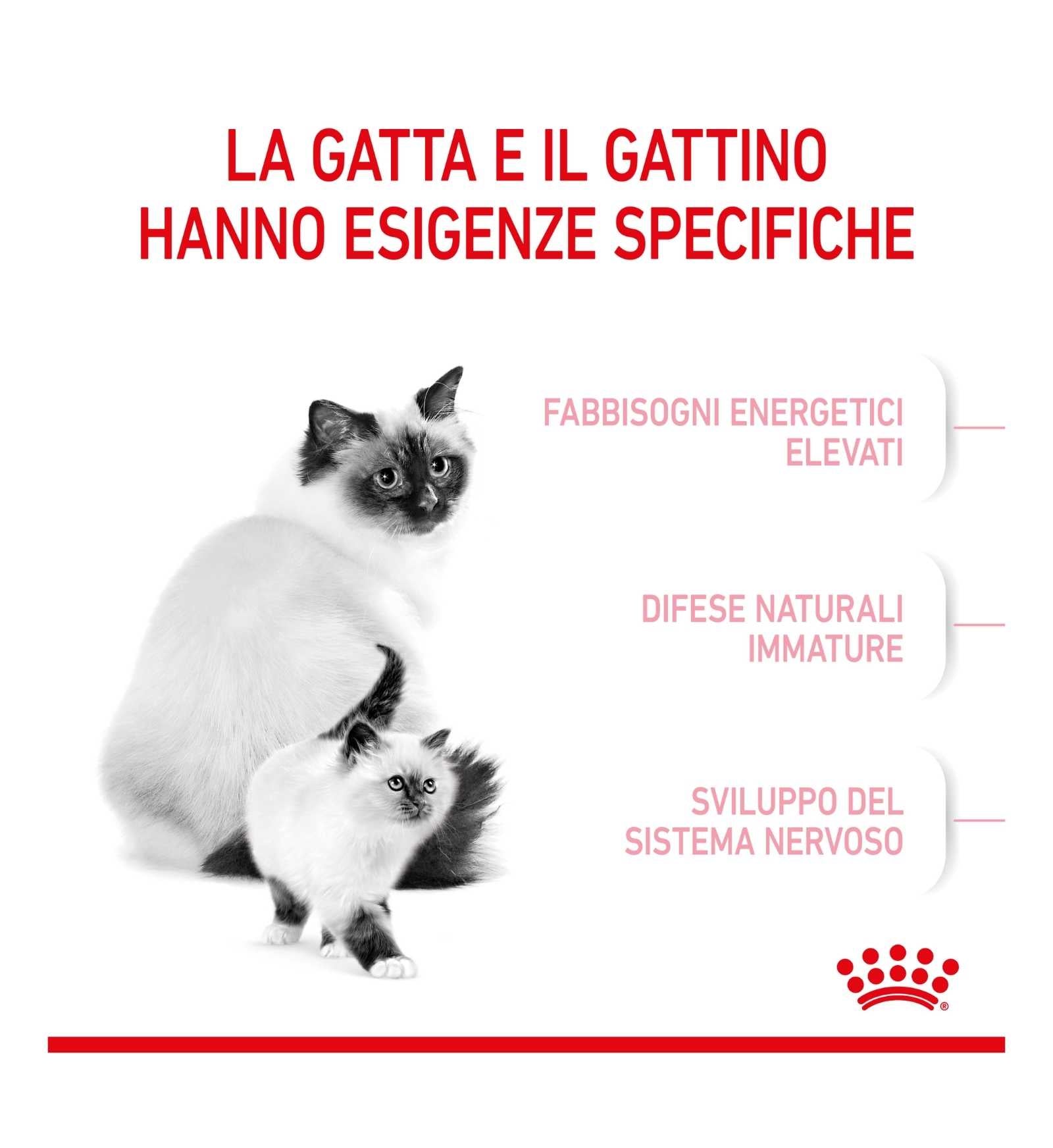 ROYAL CANIN GATTO BABYCAT DA 195 GR IN LATTINA