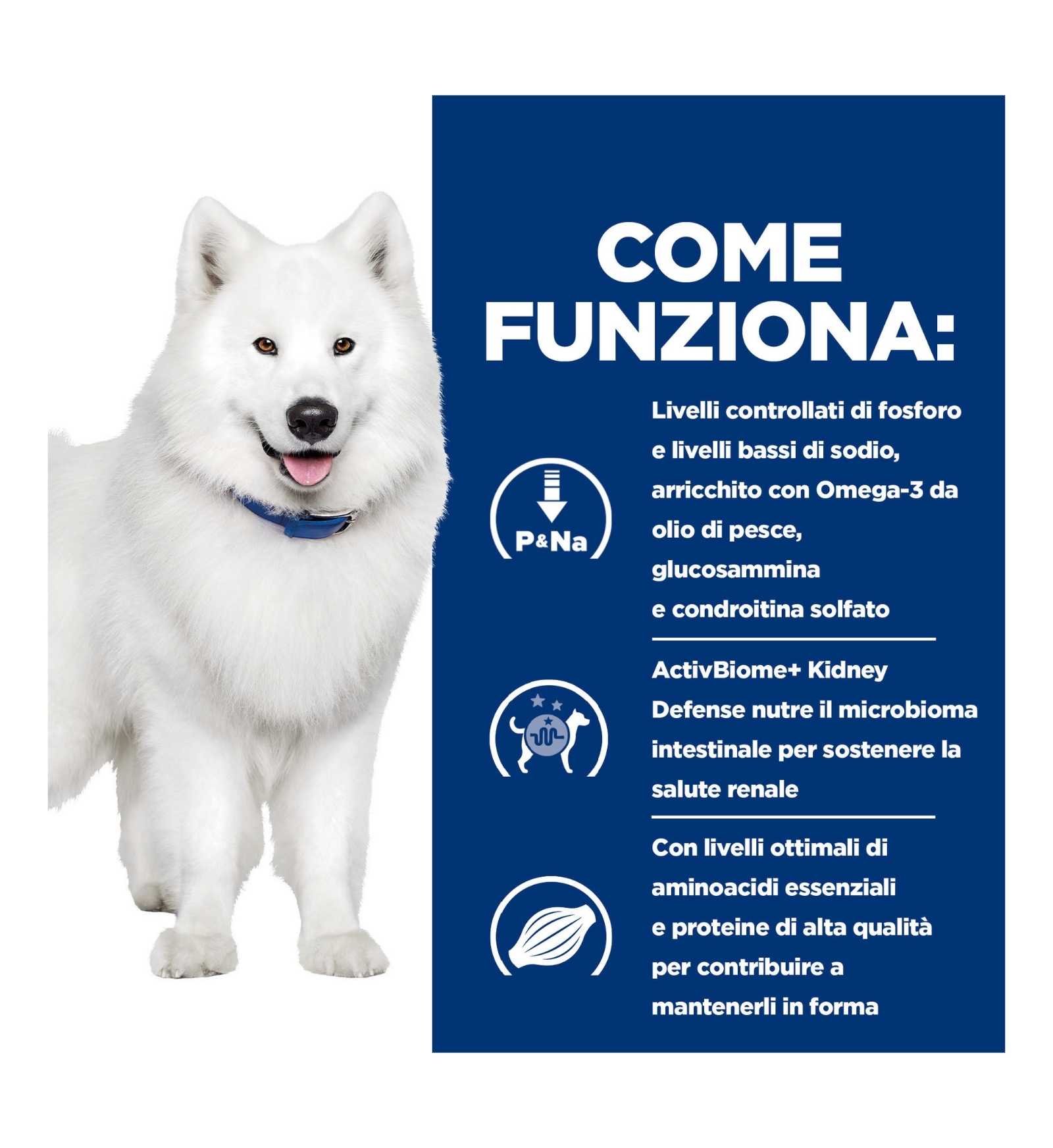HILL'S PRESCRIPTION DIET CANE K/D + J/D KIDNEY + MOBILITY POLLO DA 370 G IN LATTINA