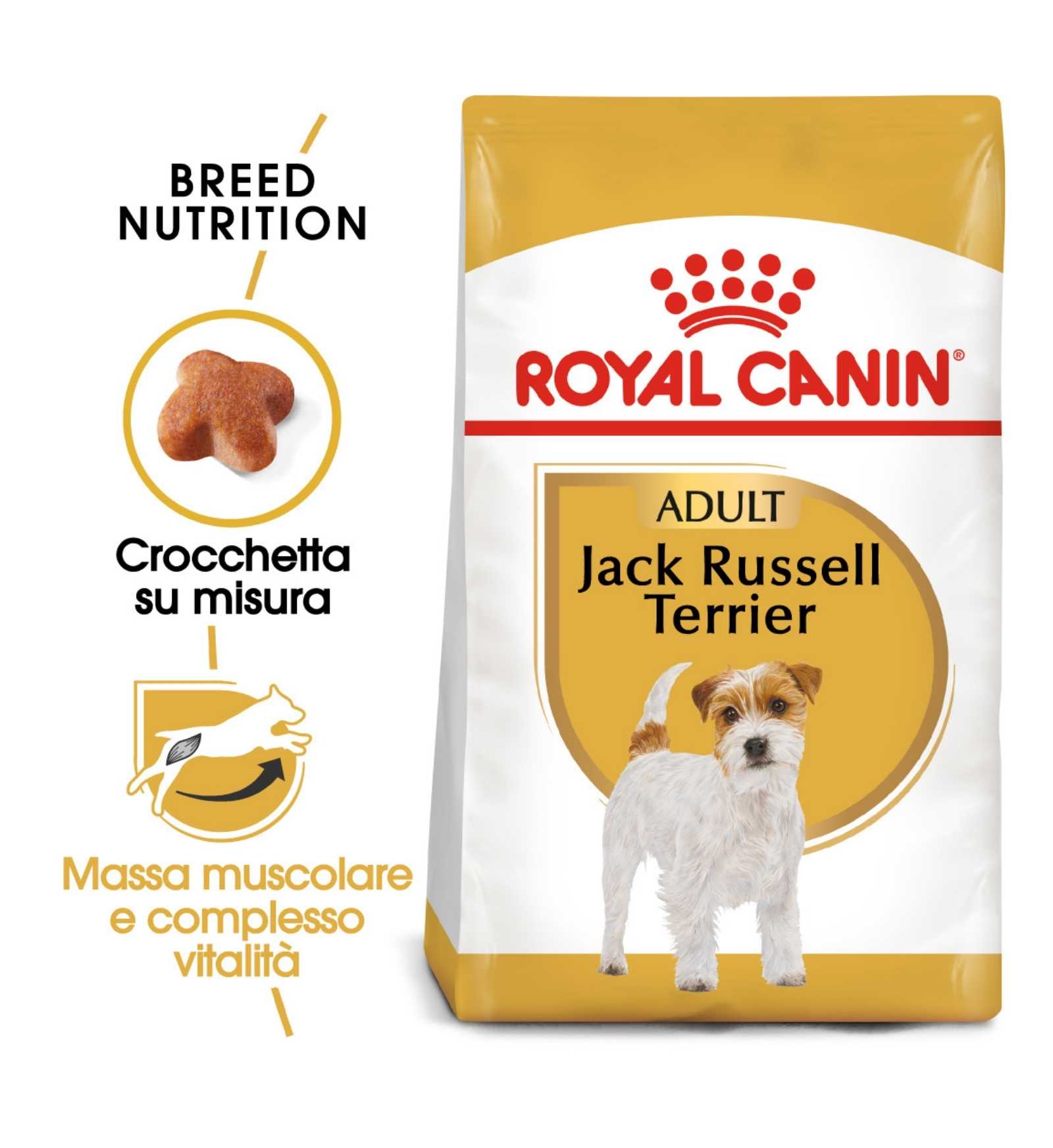 ROYAL CANIN CANE BREED JACK RUSSEL ADULT