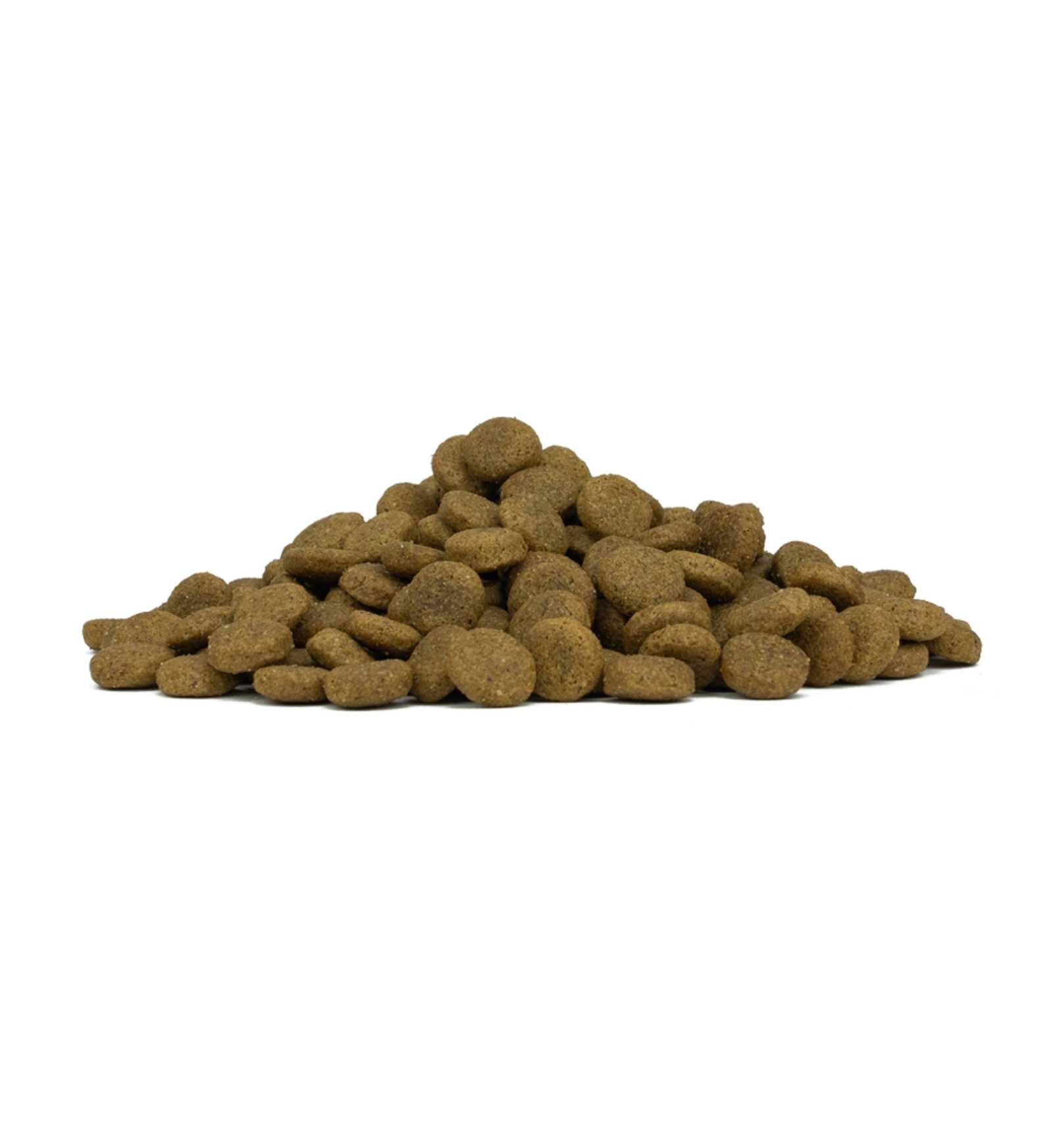 FORZA10 CANE MAINTENANCE ADULT MEDIUM CERVO E PATATE