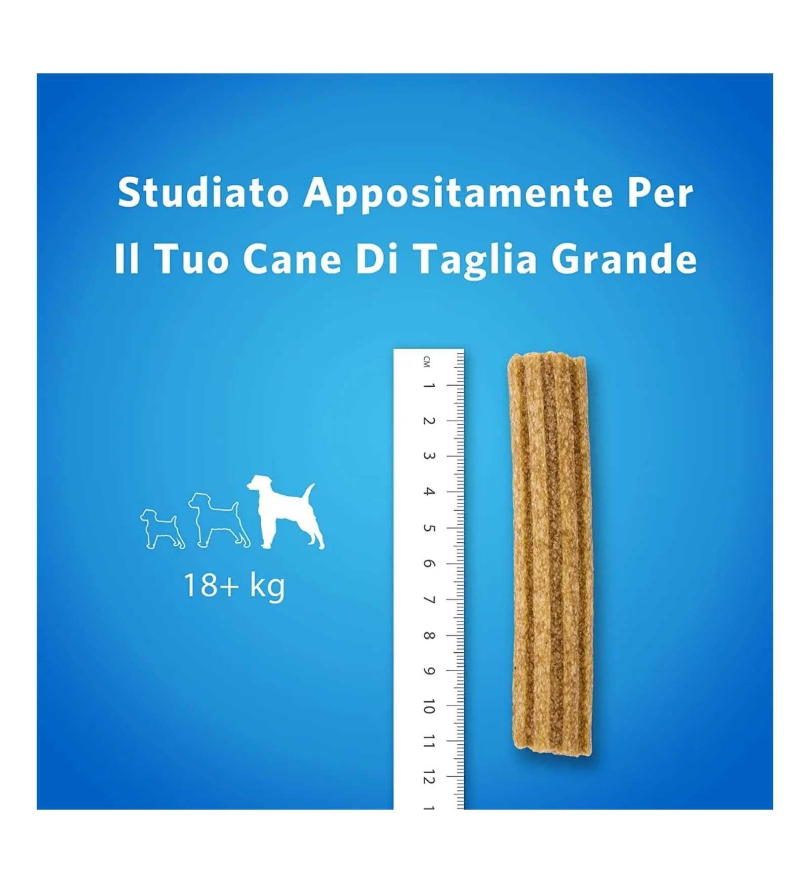 PURINA DENTALIFE SNACK CANE DAILY ORALCARE LARGE 12 PEZZI 426 GR