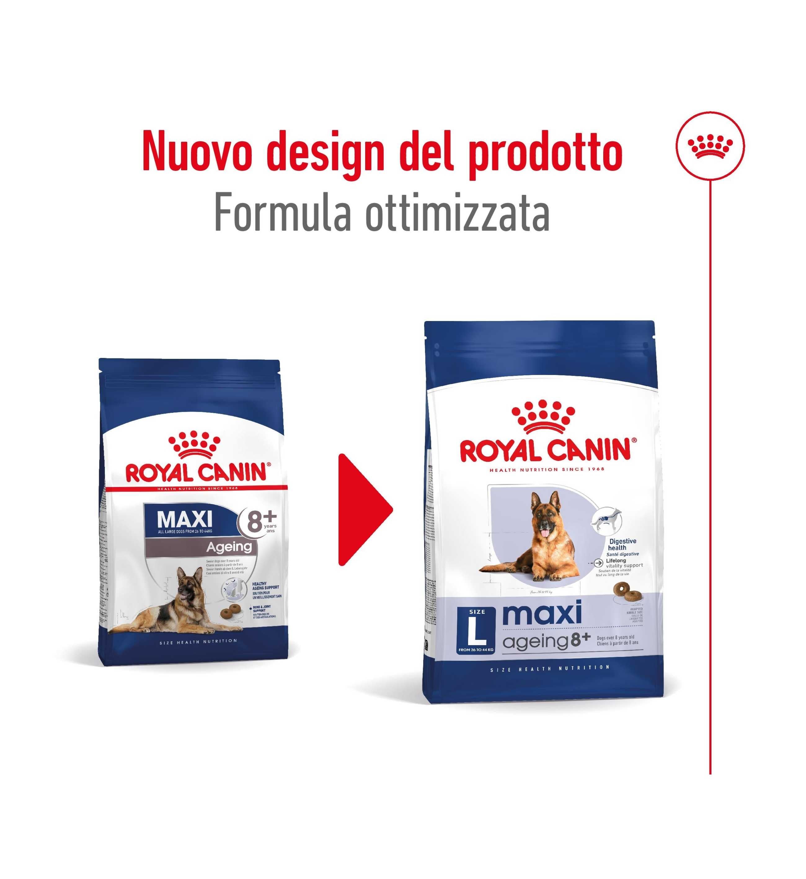 ROYAL CANIN CANE AGEING 8+ MAXI DA 15 KG