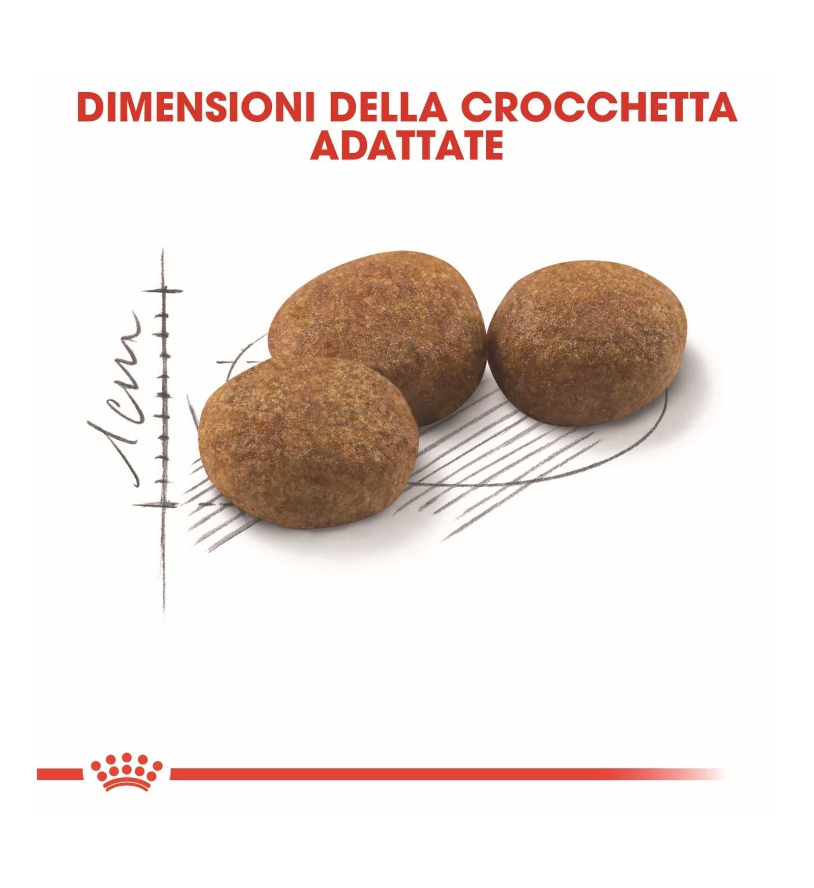 ROYAL CANIN GATTO STERILISED 37