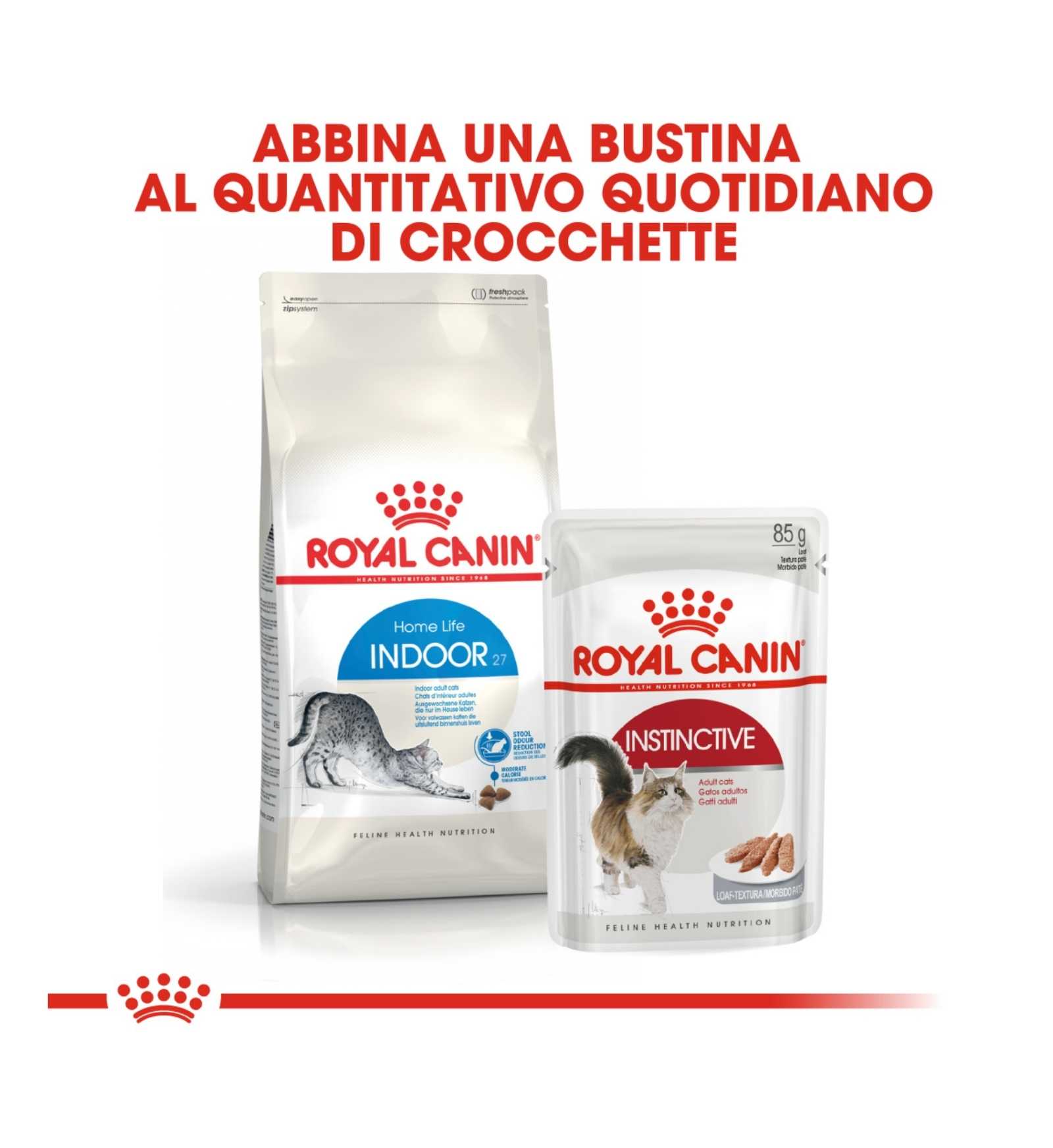 INNOVET CANE E GATTO REDODERM SHAMPOO DA 250 ML