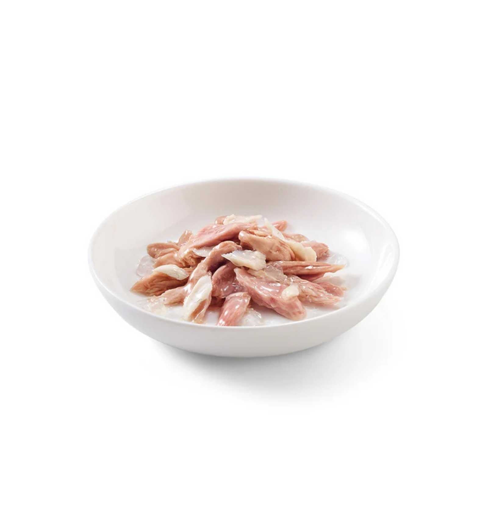 SCHESIR GATTO FILETTI IN GELATINA AL TONNO E SPIGOLA MULTIPACK 50 GR x 6 PEZZI IN LATTINA