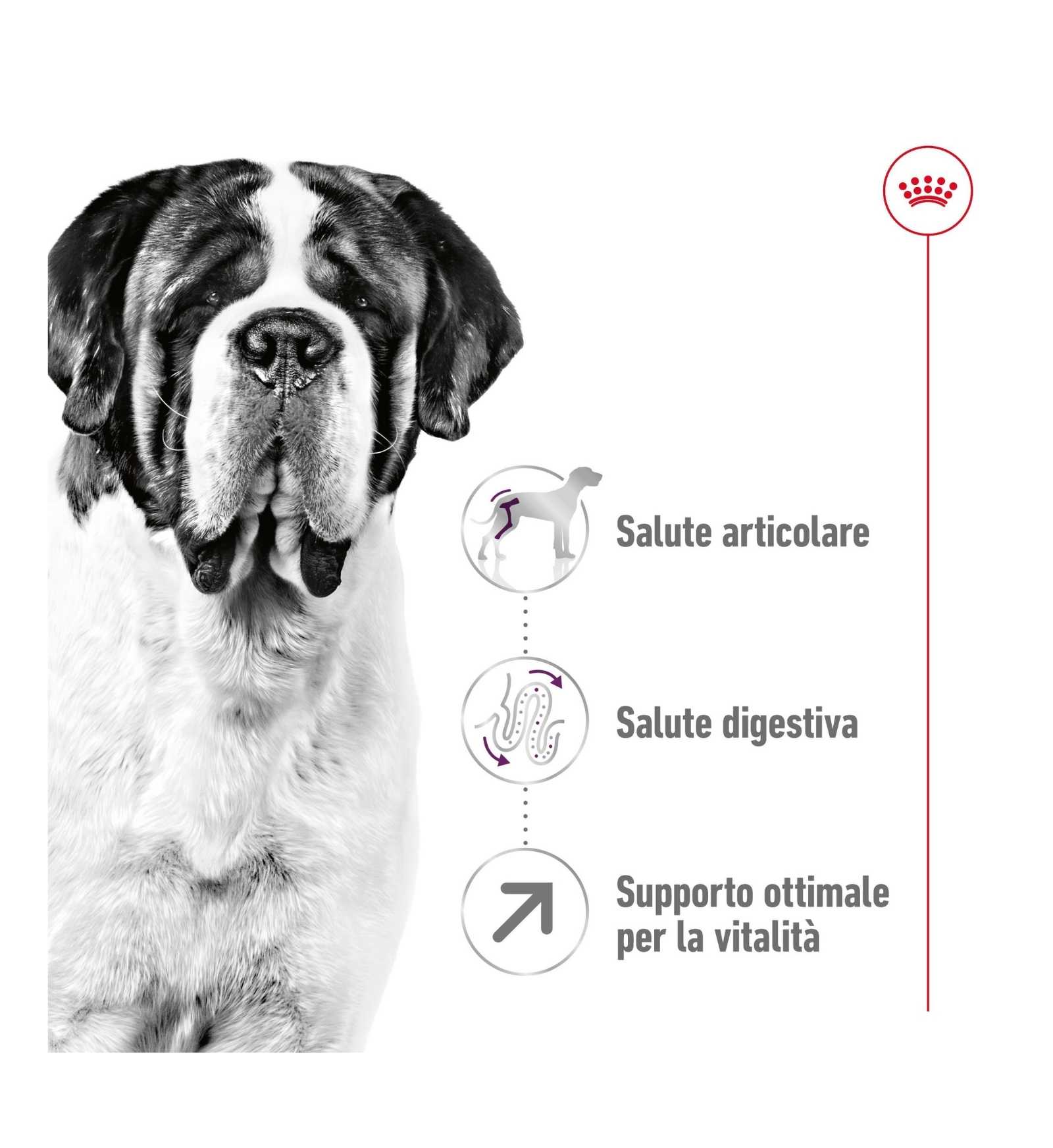 ROYAL CANIN CANE ADULT GIANT DA 15 KG