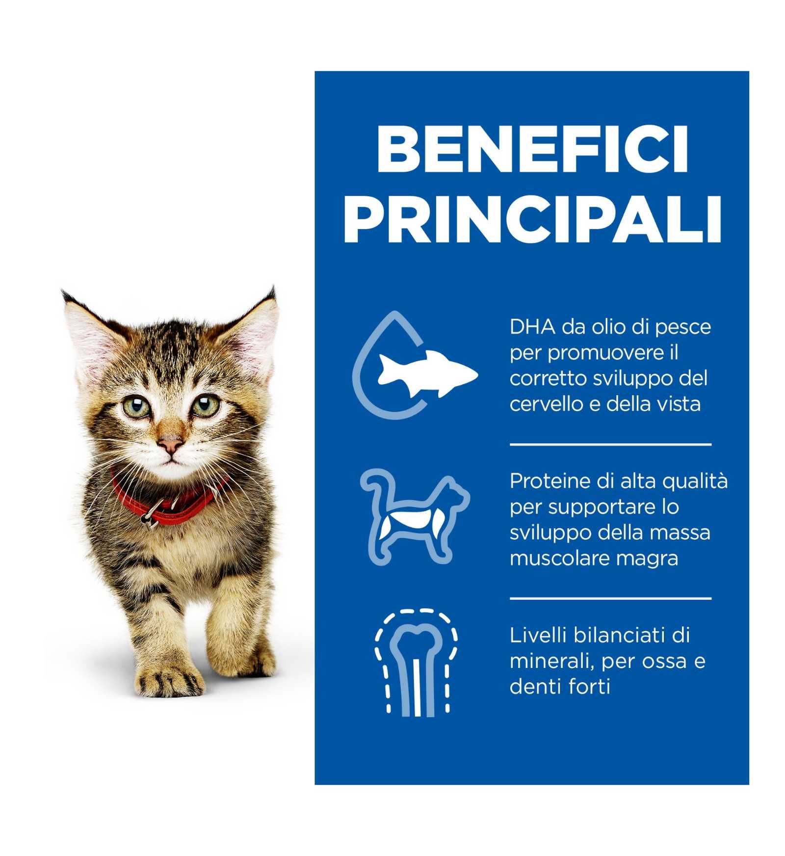 HILL'S SCIENCE PLAN GATTO KITTEN AL TONNO
