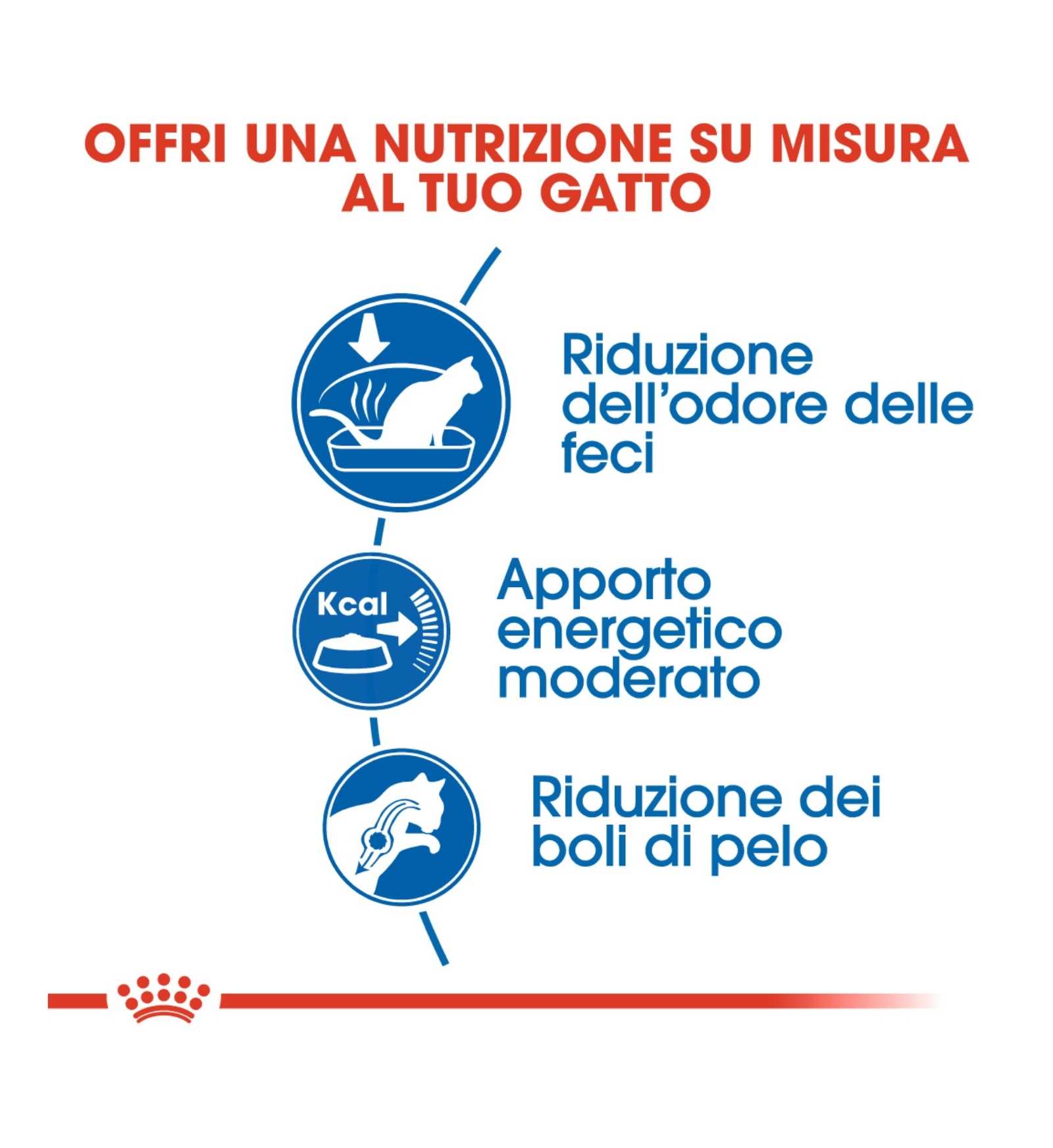 INNOVET CANE E GATTO REDODERM SHAMPOO DA 250 ML