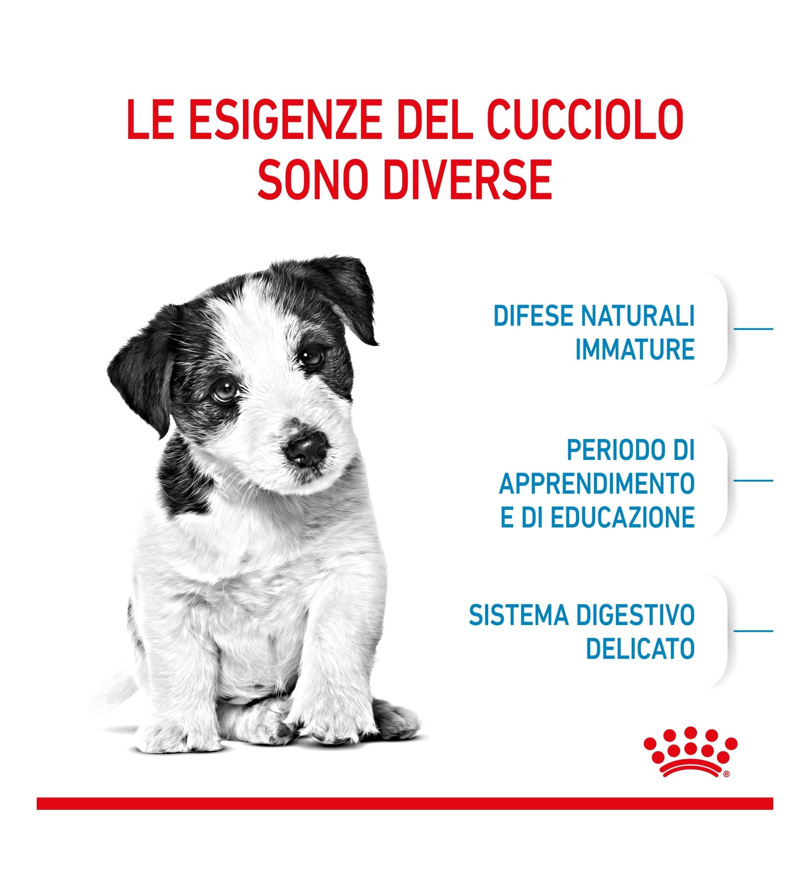 ROYAL CANIN CANE PUPPY MINI