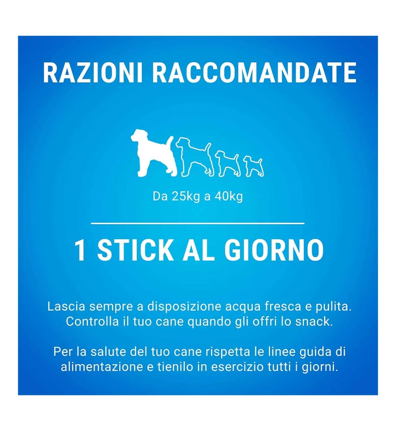 PURINA DENTALIFE SNACK CANE DAILY ORALCARE LARGE 12 PEZZI 426 GR
