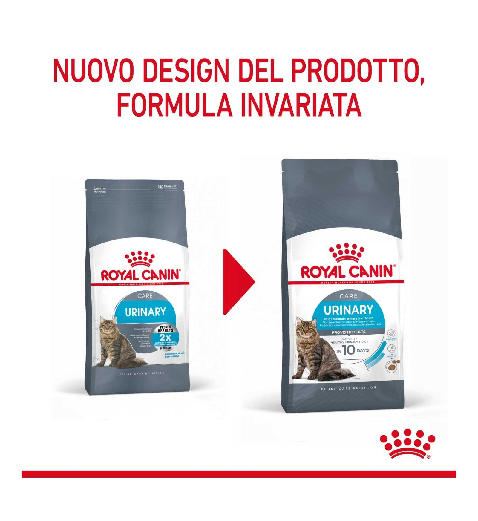 INNOVET CANE E GATTO NORMALIA FAST 10 COMPRESSE