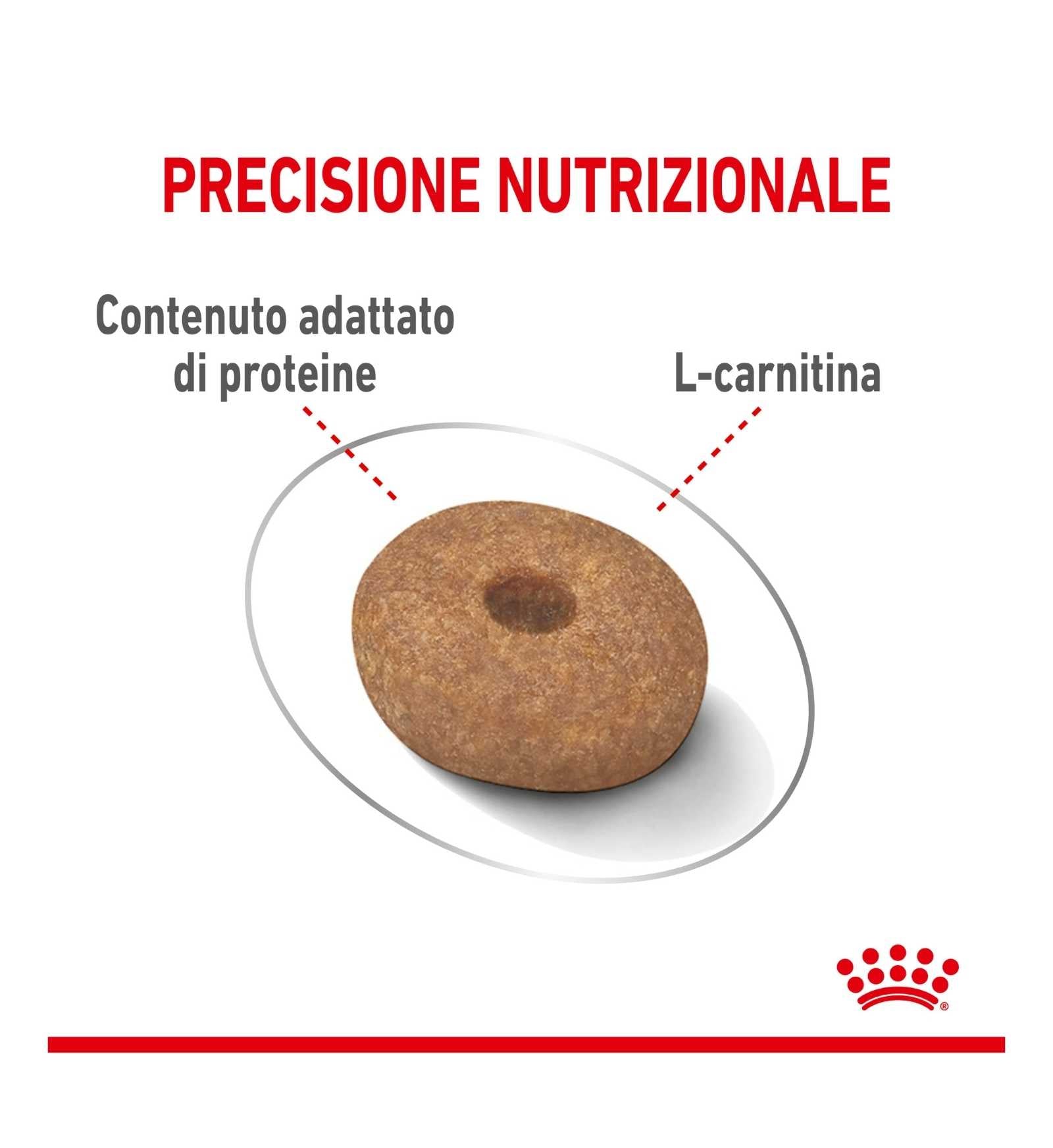 ROYAL CANIN CANE MINI LIGHT WEIGHT CARE