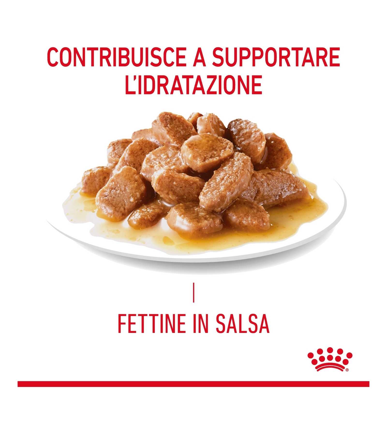 ROYAL CANIN GATTO URINARY CARE GRAVY DA 85 GR IN BUSTA