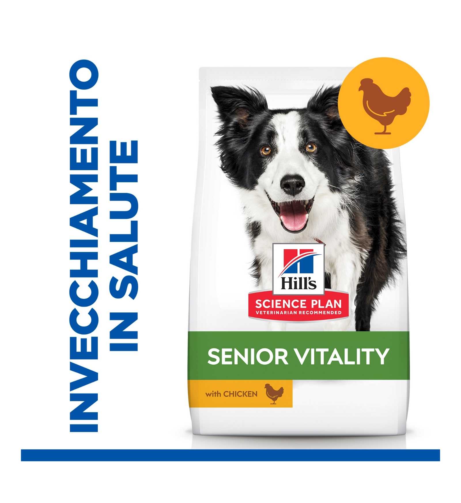 HILL'S SCIENCE PLAN CANE SENIOR VITALITY 7 + MEDIUM POLLO