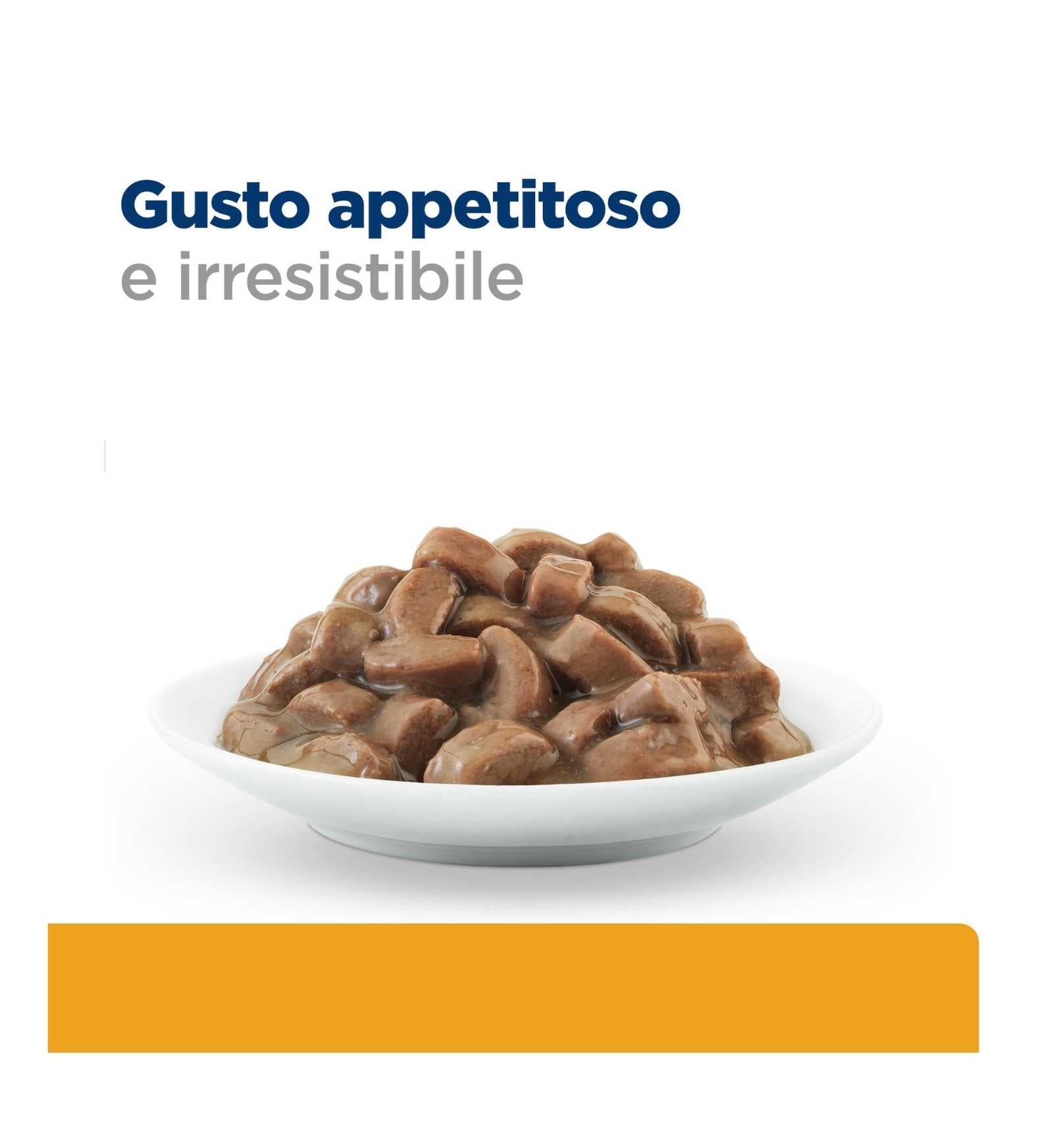 HILL'S PRESCRIPTION DIET GATTO C/D URINARY AL SALMONE DA 85 GR IN BUSTA