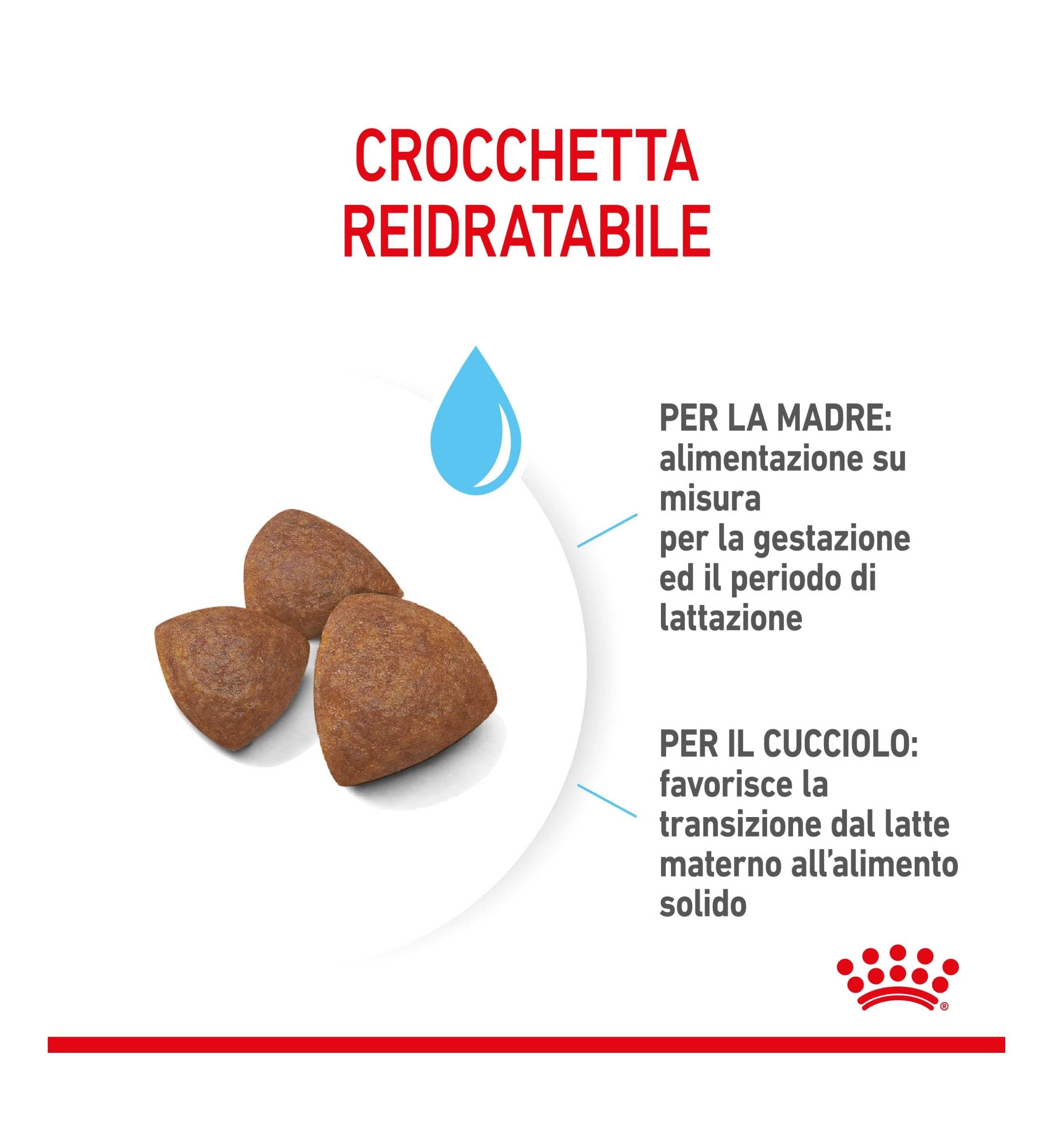 ROYAL CANIN CANE STARTER MEDIUM MOTHER & BABY
