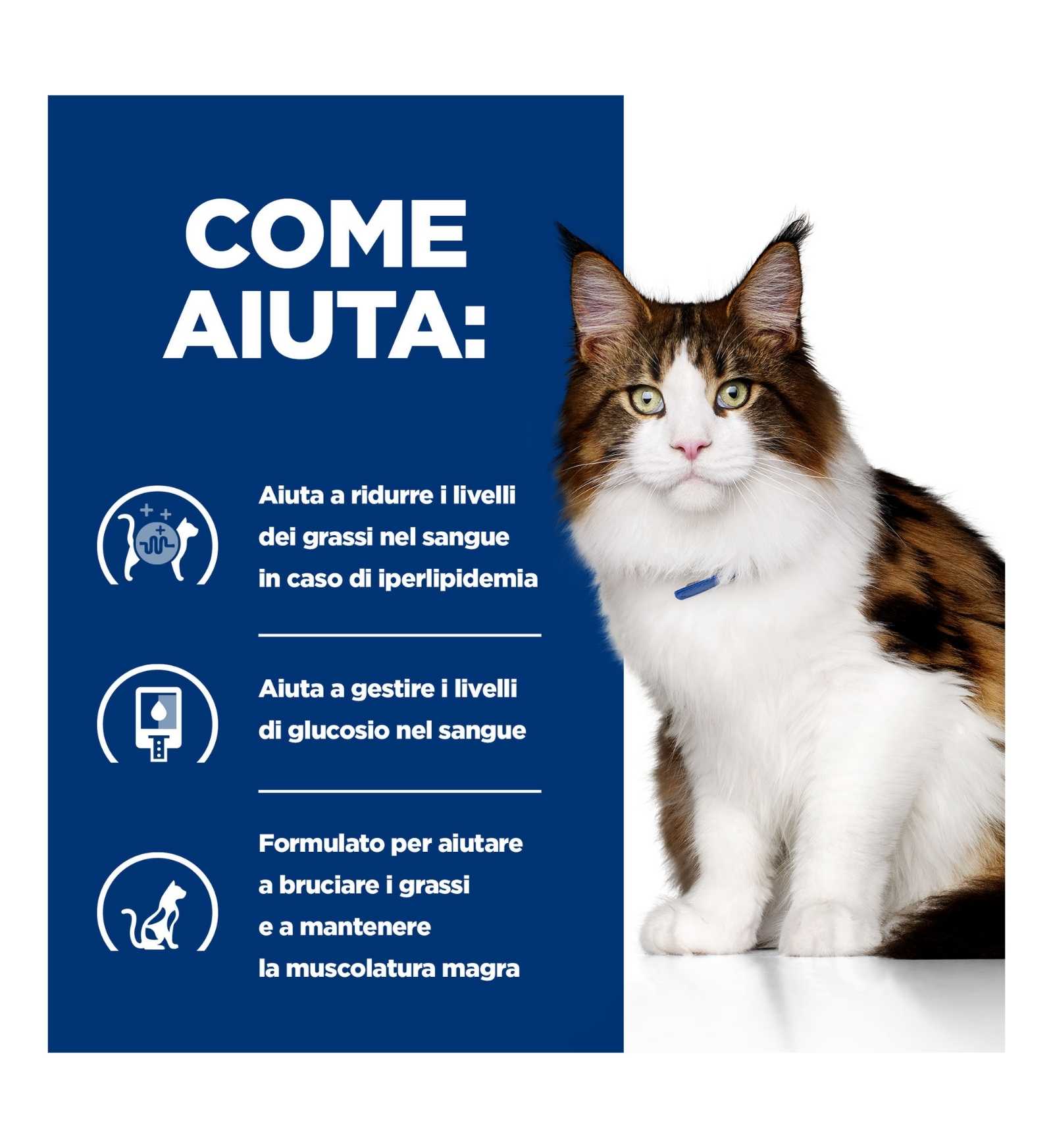 HILL'S PRESCRIPTION DIET GATTO W/D DA 156 GR IN LATTINA