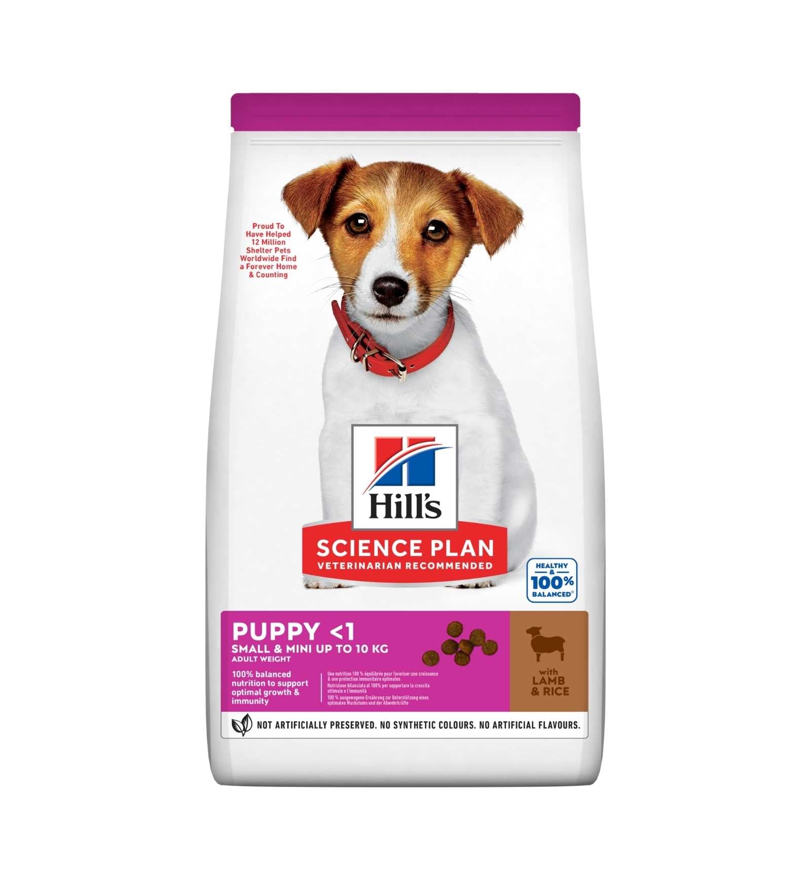 HILL'S SCIENCE PLAN CANE PUPPY SMALL & MINI AGNELLO E RISO