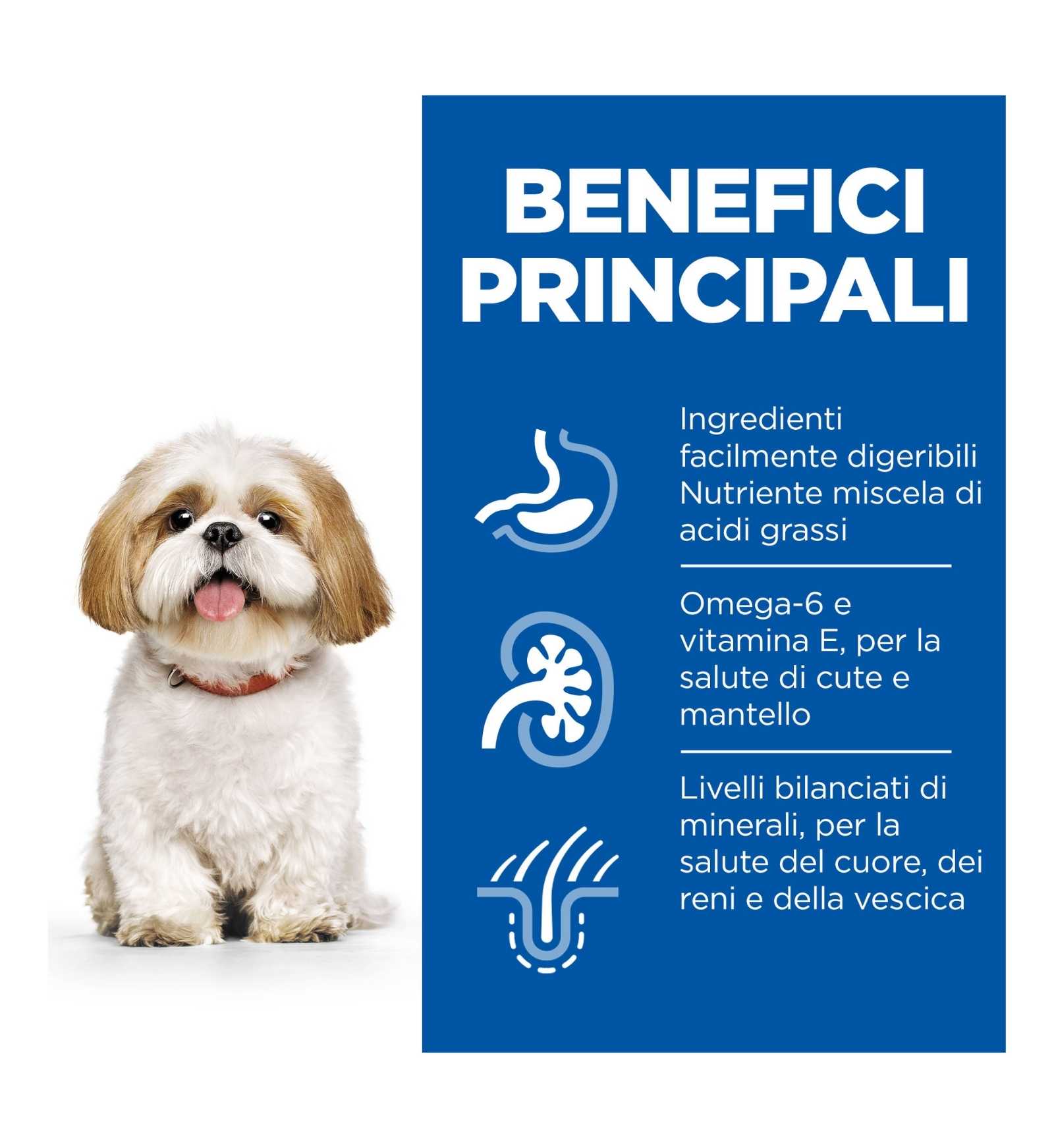 HILL'S SCIENCE PLAN CANE MATURE SMALL & MINI POLLO