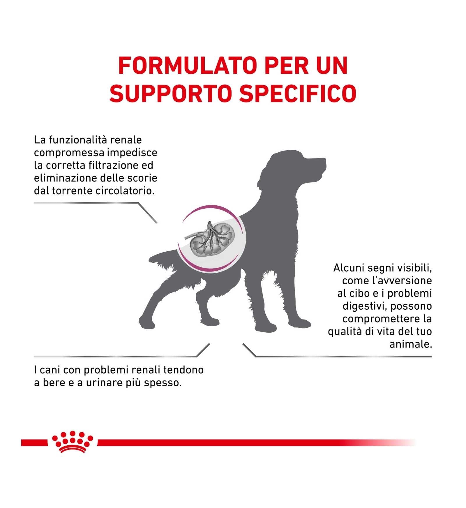 ROYAL CANIN CANE DIET RENAL