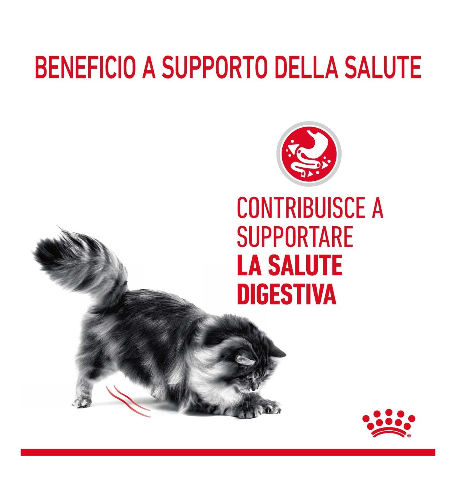 ROYAL CANIN GATTO DIGESTION SENSITIVE GRAVY DA 85 GR IN BUSTA