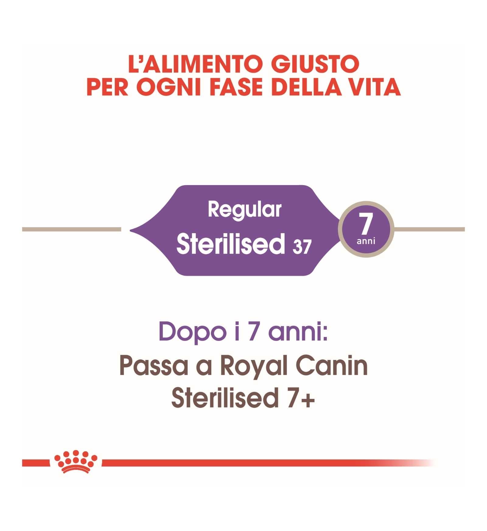 ROYAL CANIN GATTO STERILISED 37