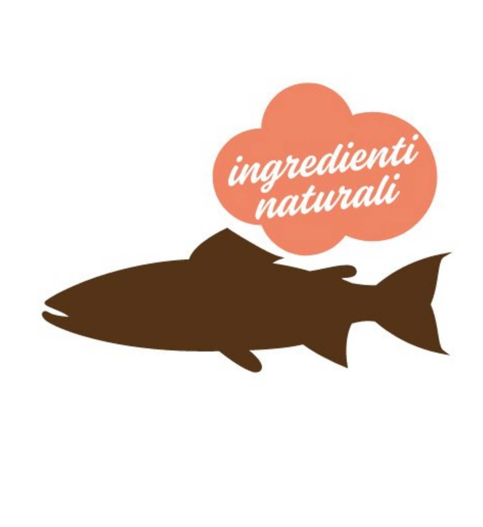 STUZZY CANE CON SALMONE DA 150 GR IN VASCHETTA