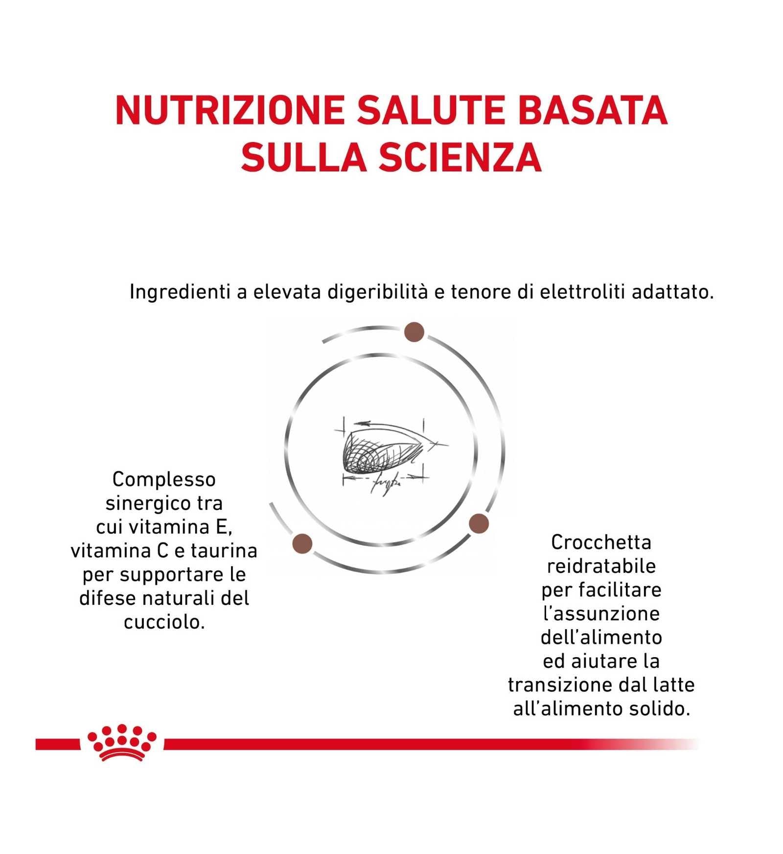 ROYAL CANIN CANE DIET GASTROINTESTINAL JUNIOR