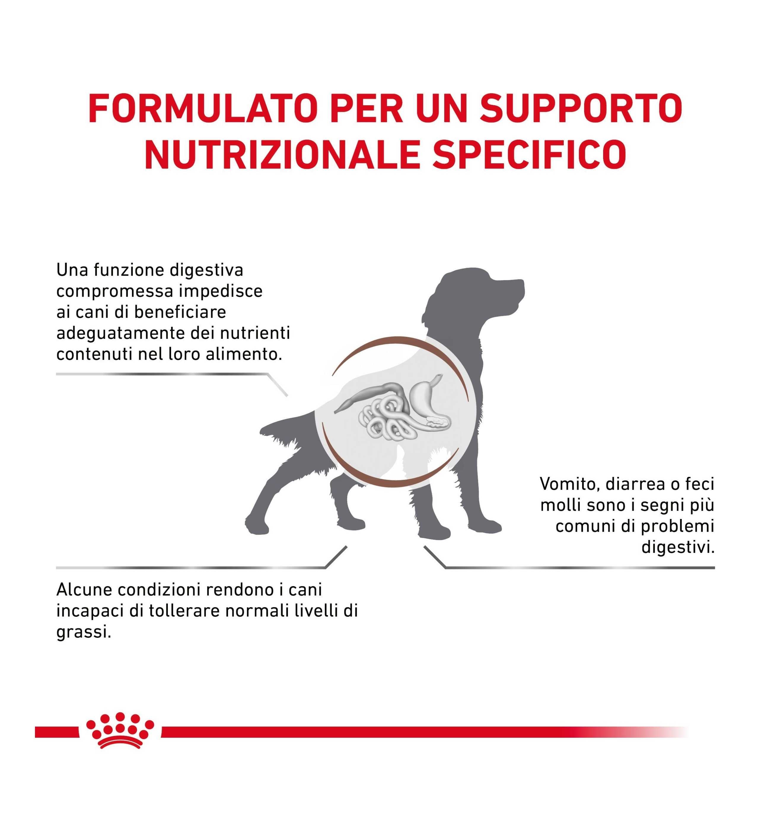 ROYAL CANIN CANE DIET GASTROINTESTINAL LOW FAT IN LATTINA