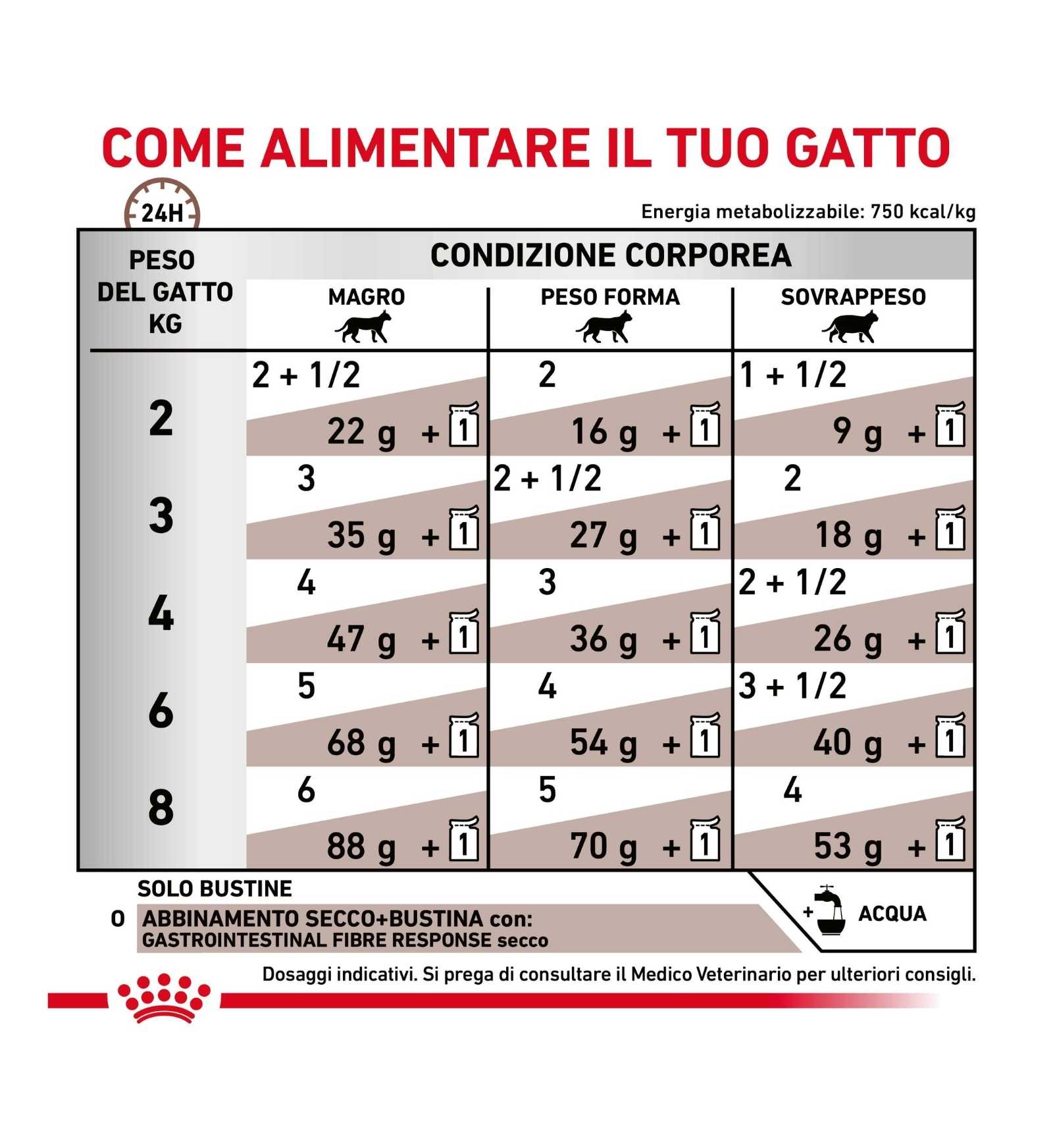 ROYAL CANIN GATTO FIBRE RESPONSE DA 85 GR IN BUSTA