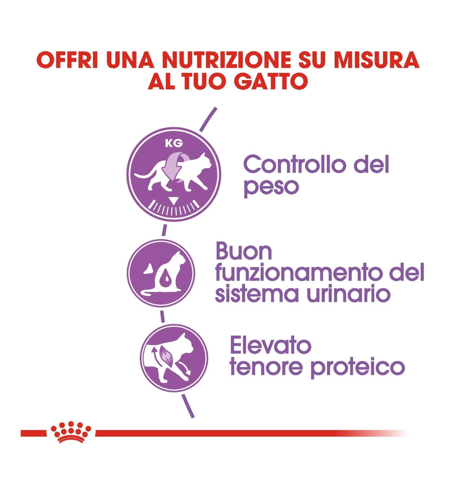 ROYAL CANIN GATTO STERILISED 37