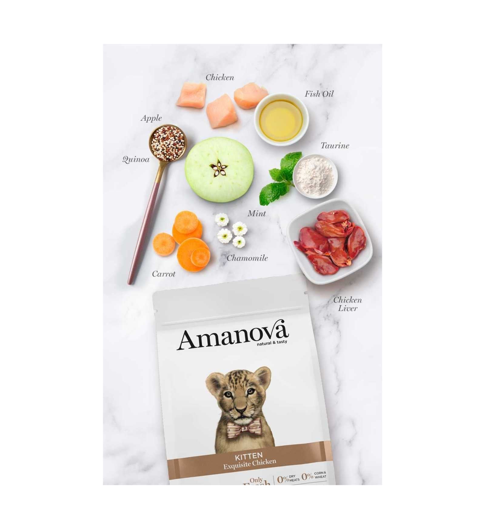 AMANOVA GATTO KITTEN EXQUISITE AL POLLO