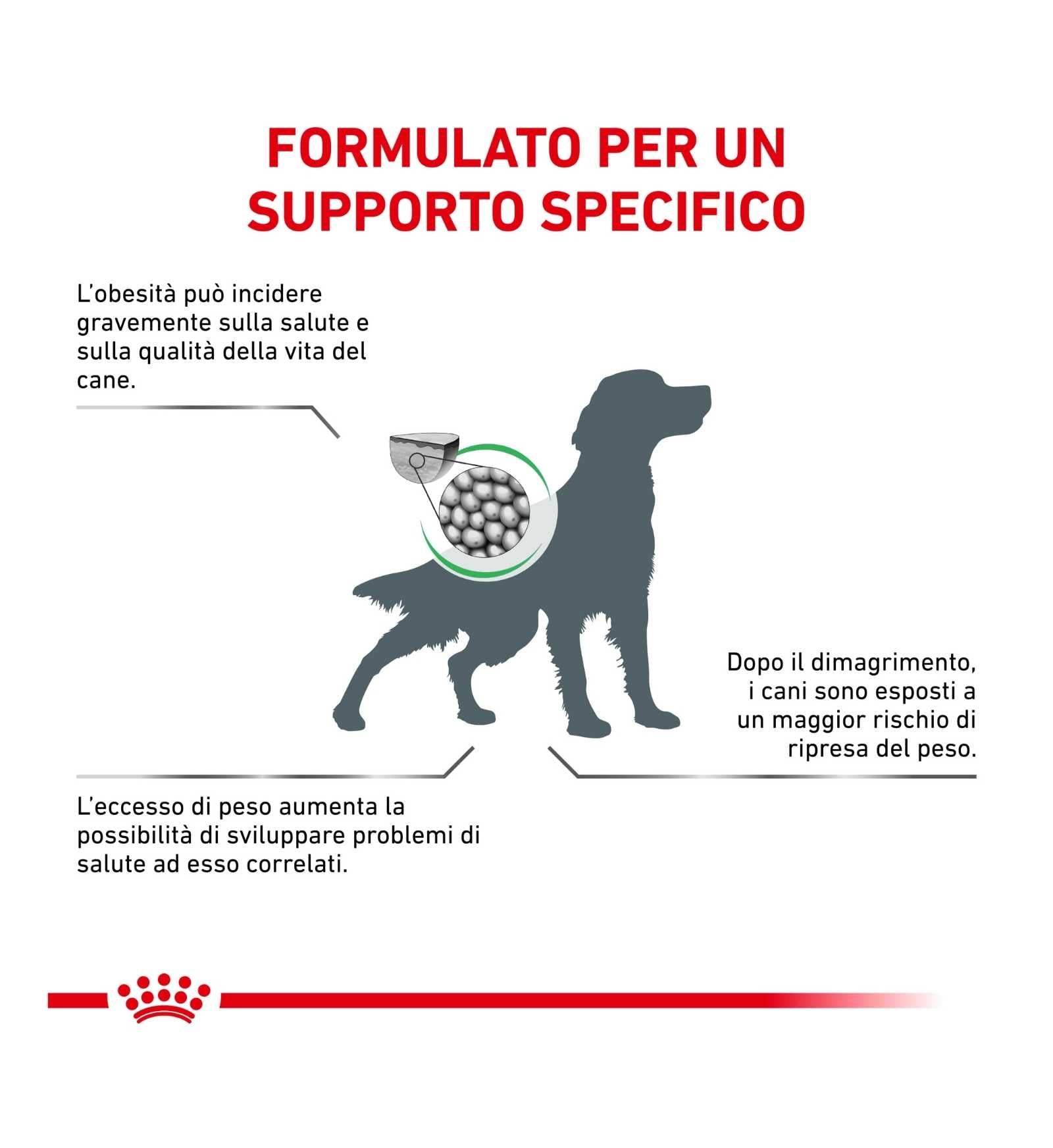 ROYAL CANIN CANE DIET SATIETY WEIGHT MANAGEMENT