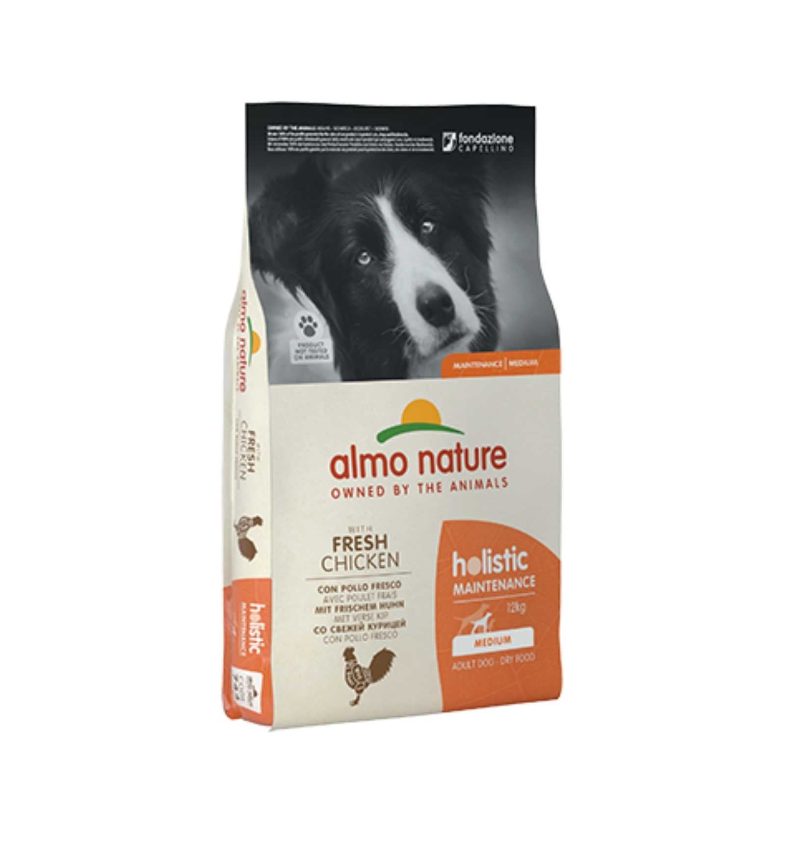 ALMO NATURE CANE HOLISTIC ADULT MEDIUM CON RISO E POLLO DA 12 KG