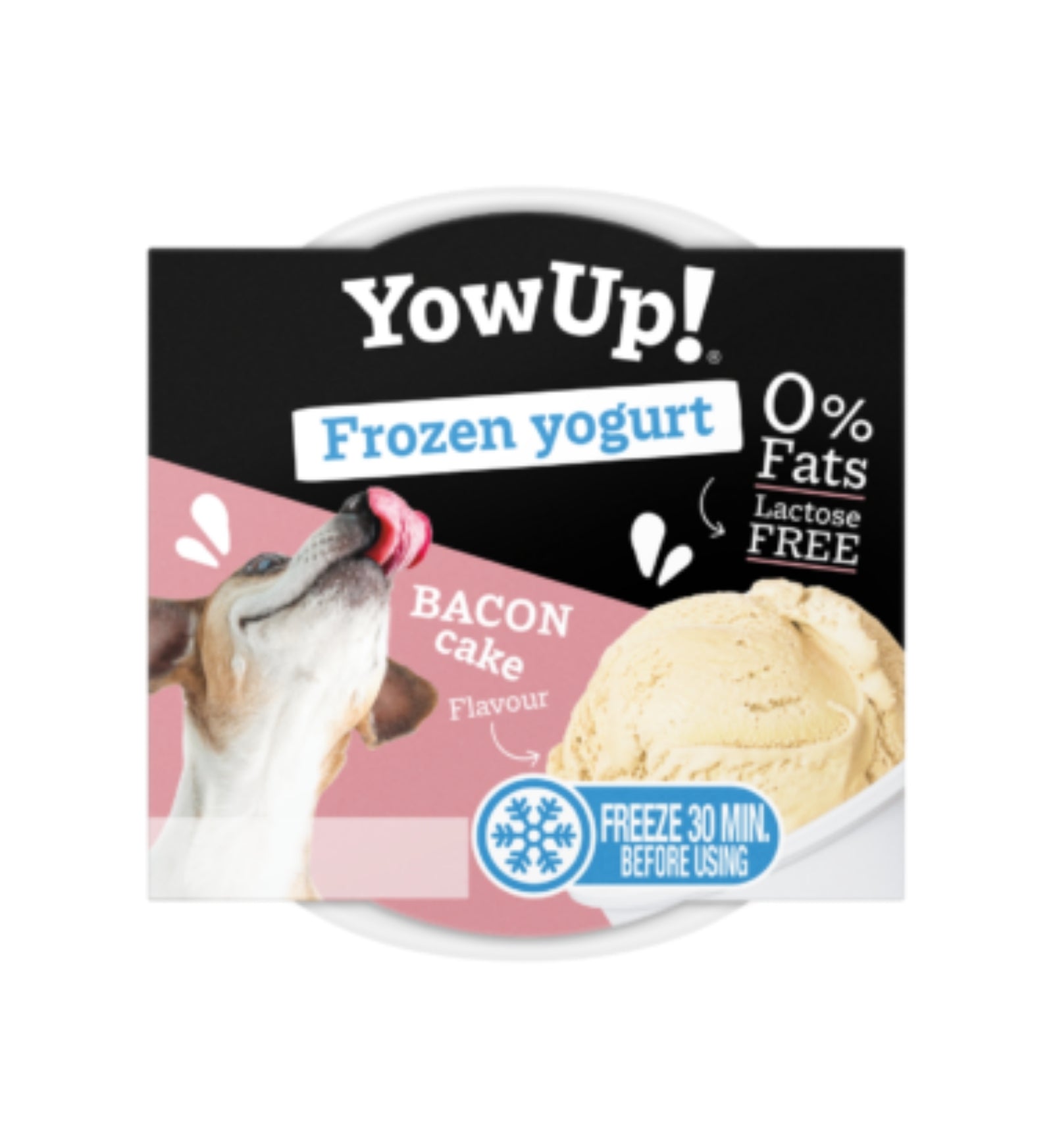 YOWUP FROZEN YOGURT GELATO BACON DA 110 GR