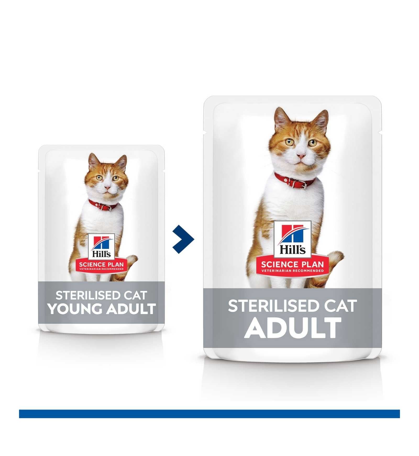 HILL'S SCIENCE PLAN GATTO ADULT STERILISED ALLA TROTA DA 85 GR IN BUSTA