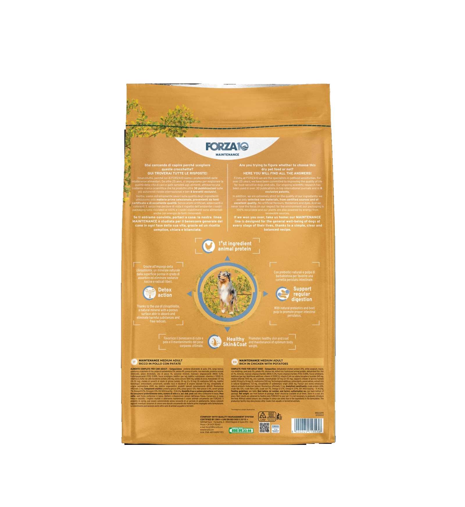 FORZA10 CANE ADULT MEDIUM MAINTENANCE POLLO E PATATE DA 12 KG