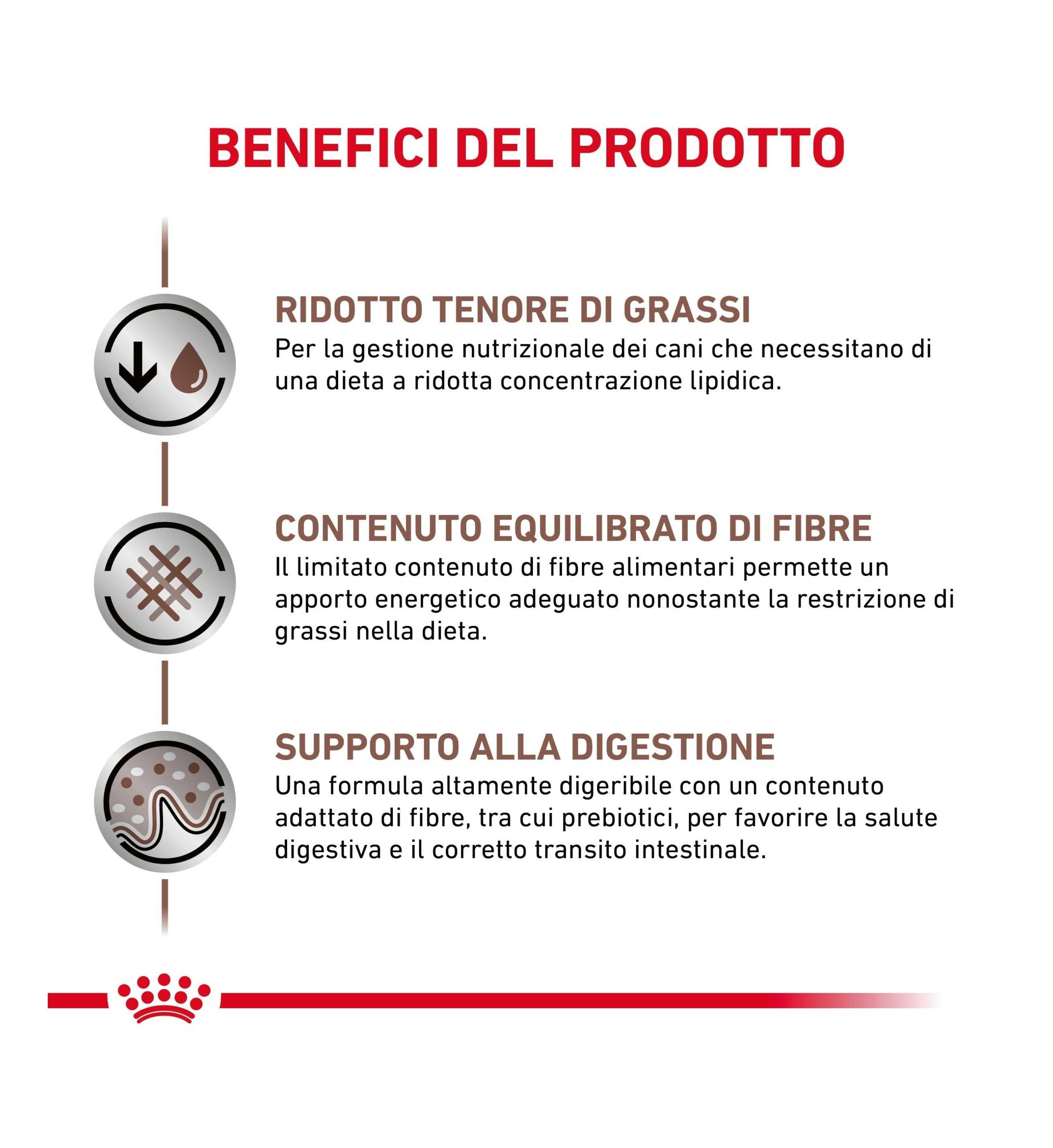 ROYAL CANIN CANE DIET GASTROINTESTINAL LOW FAT IN LATTINA